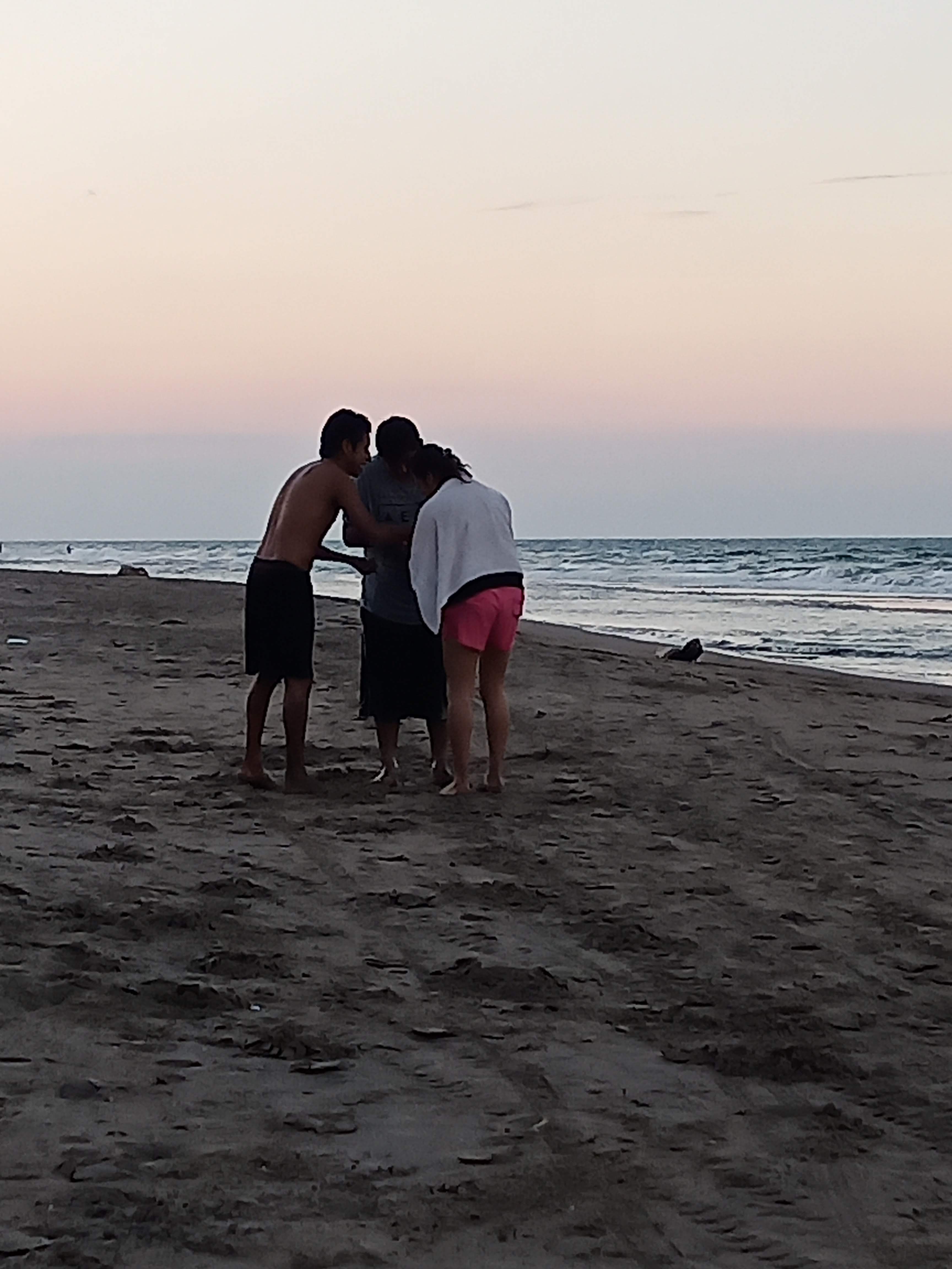 Palapa "Norma" image 8