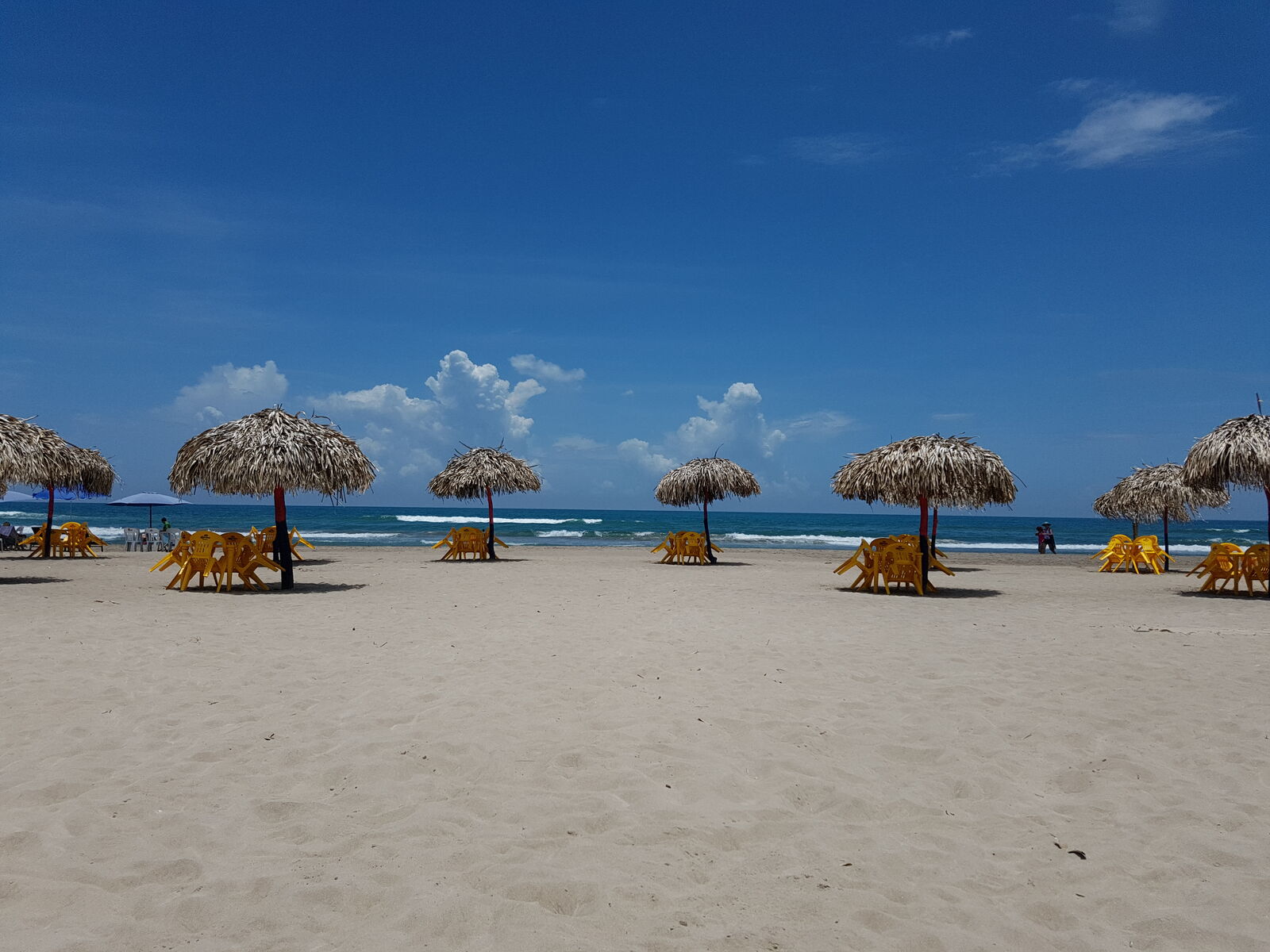 Palapa Dubai image 2