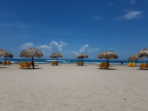 Palapa Dubai image 2
