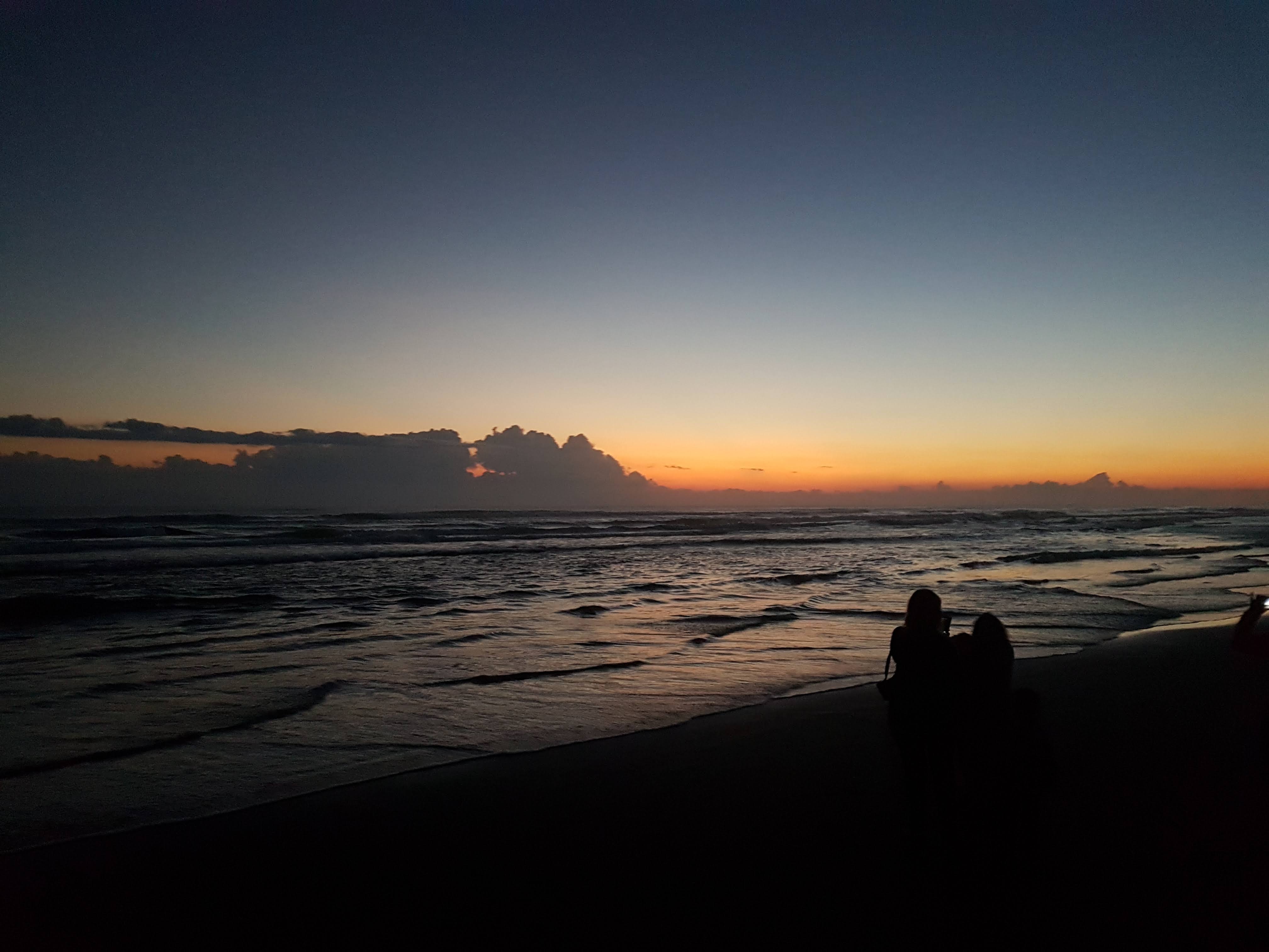 Palapa Dubai image 3