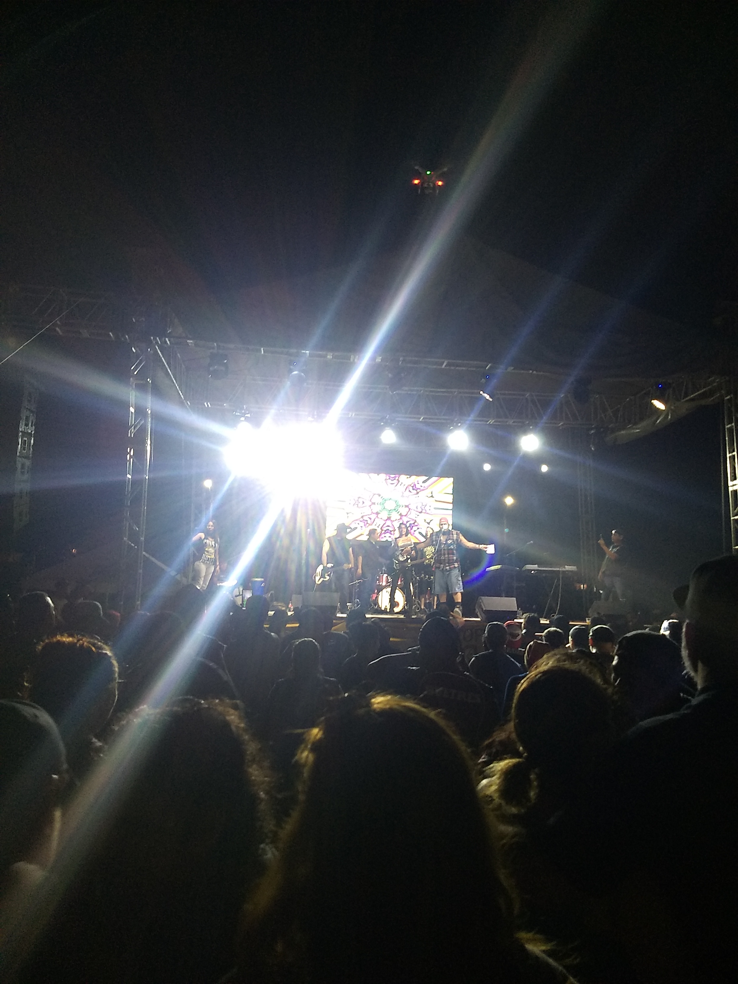 Palapa Dubai image 7