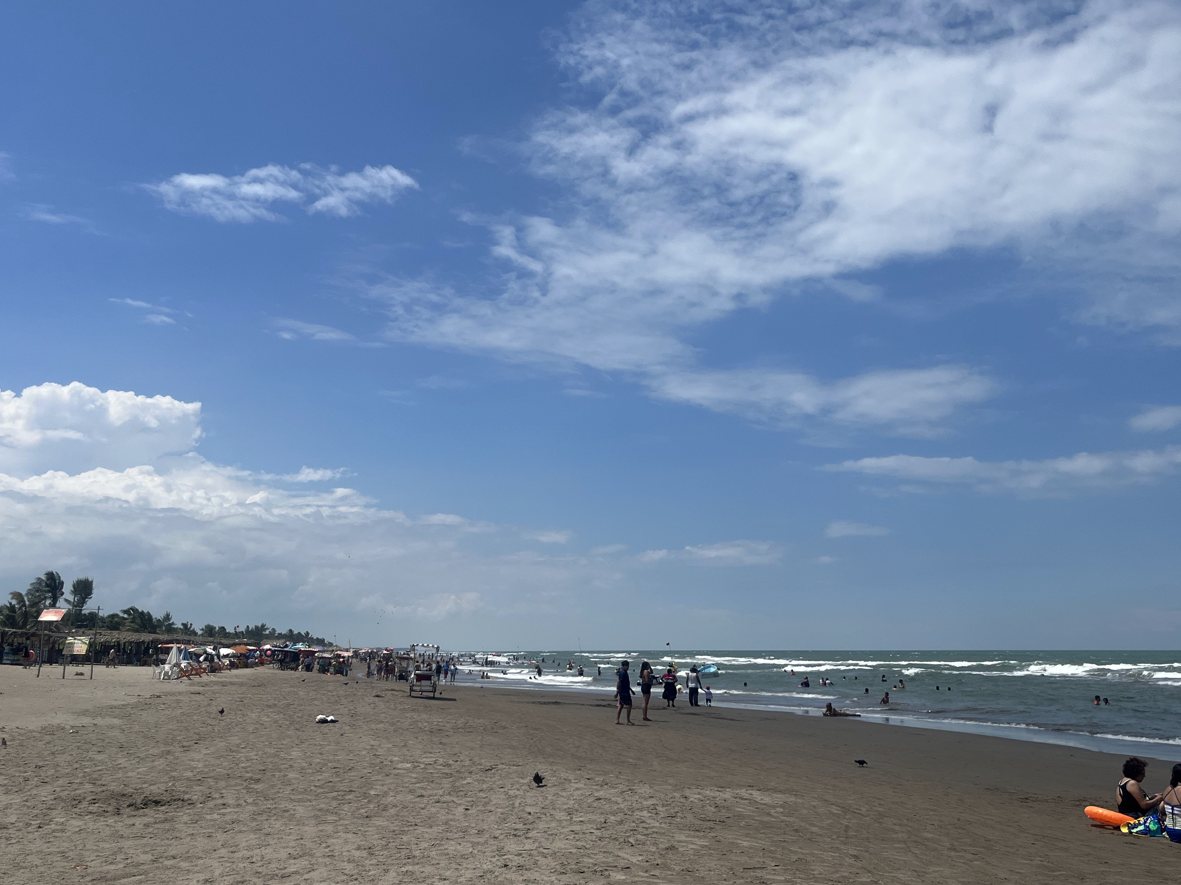 Palapa Dubai image 8