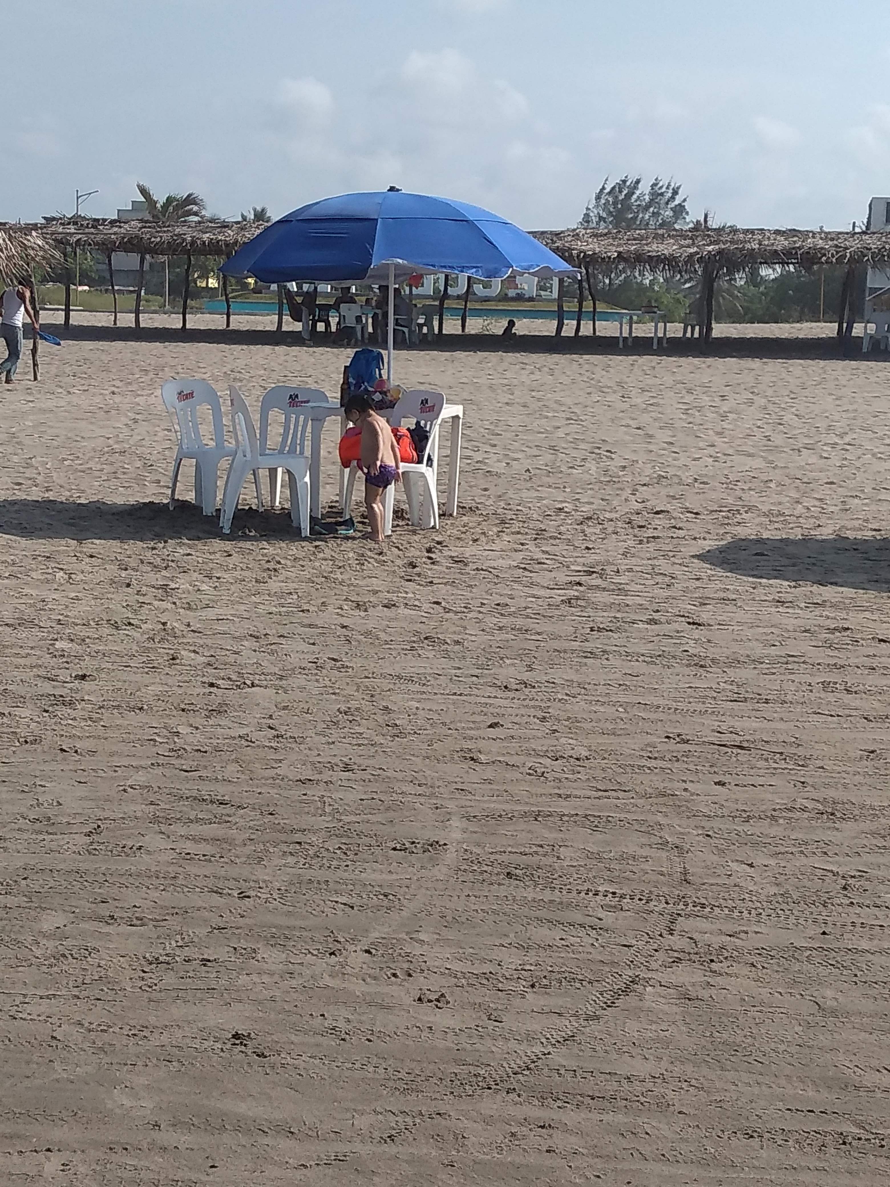 Palapa Dubai image 10