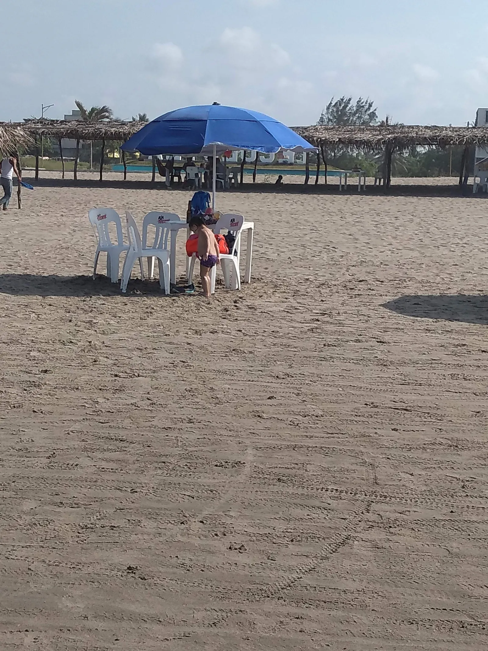 Palapa Dubai image 10