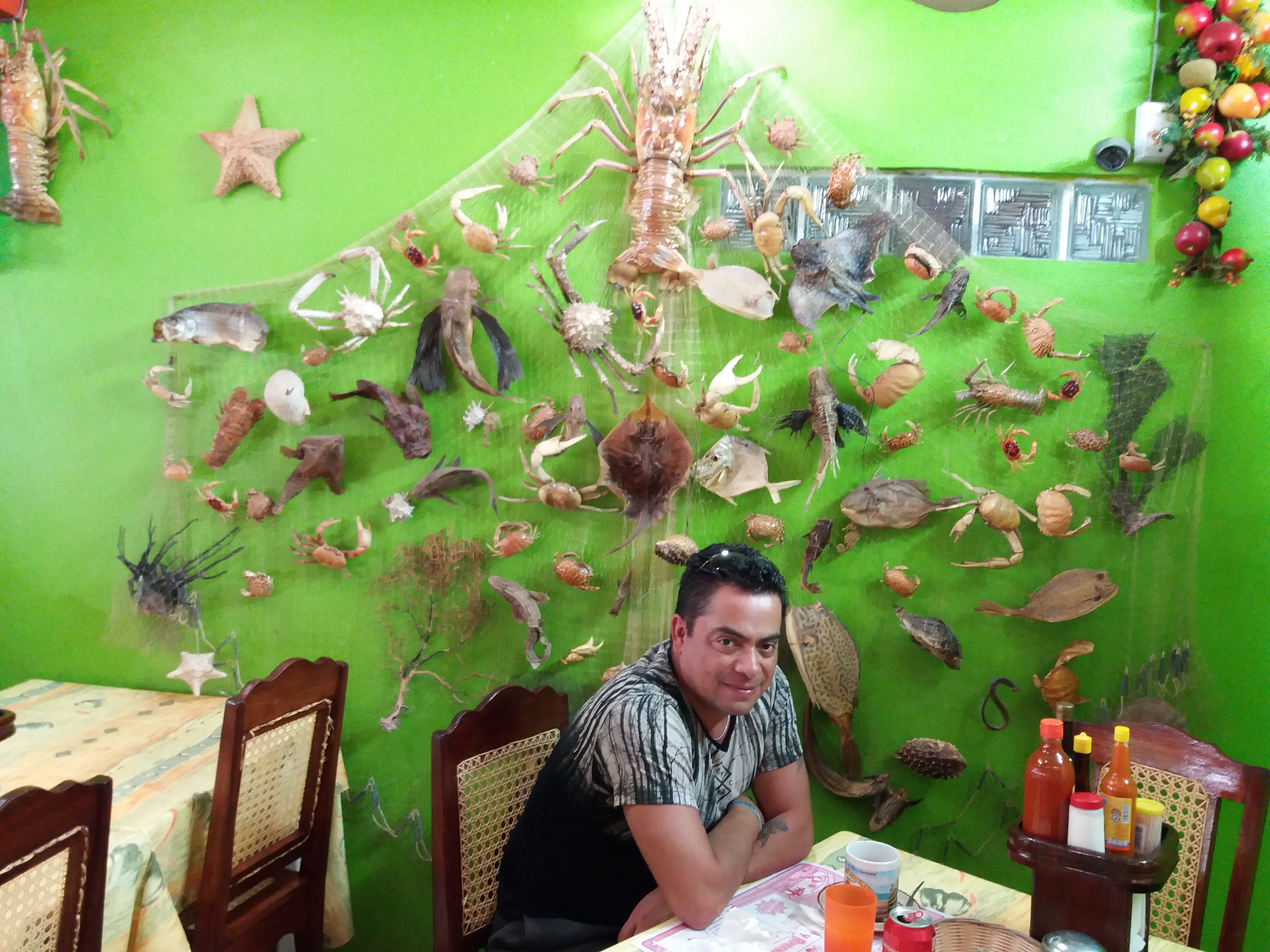 Restaurante "El nido del tecolote" image 7