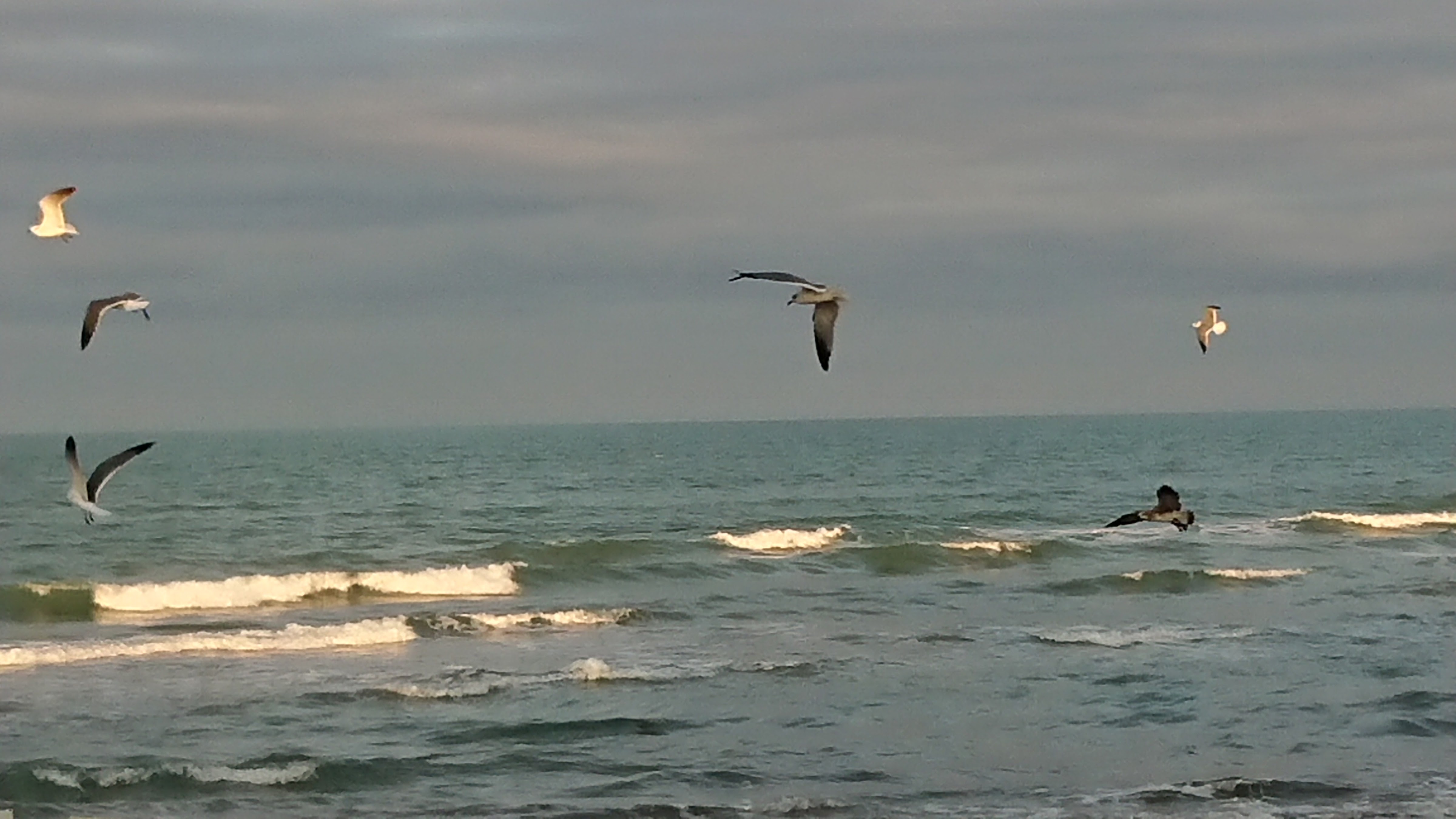 Restaurant Mar y Sol image 3