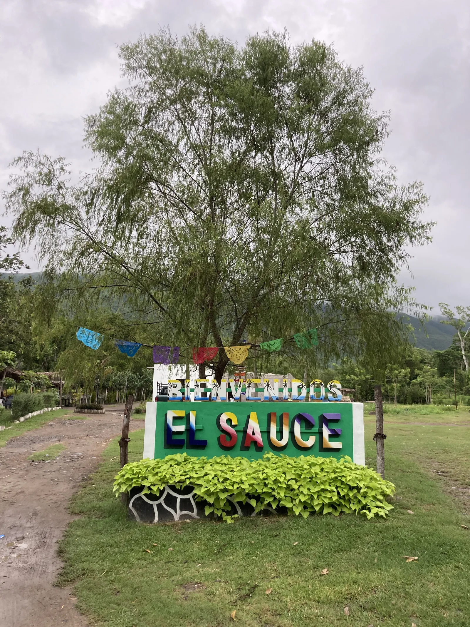 El SAUCE Balneario & Restaurante image 2
