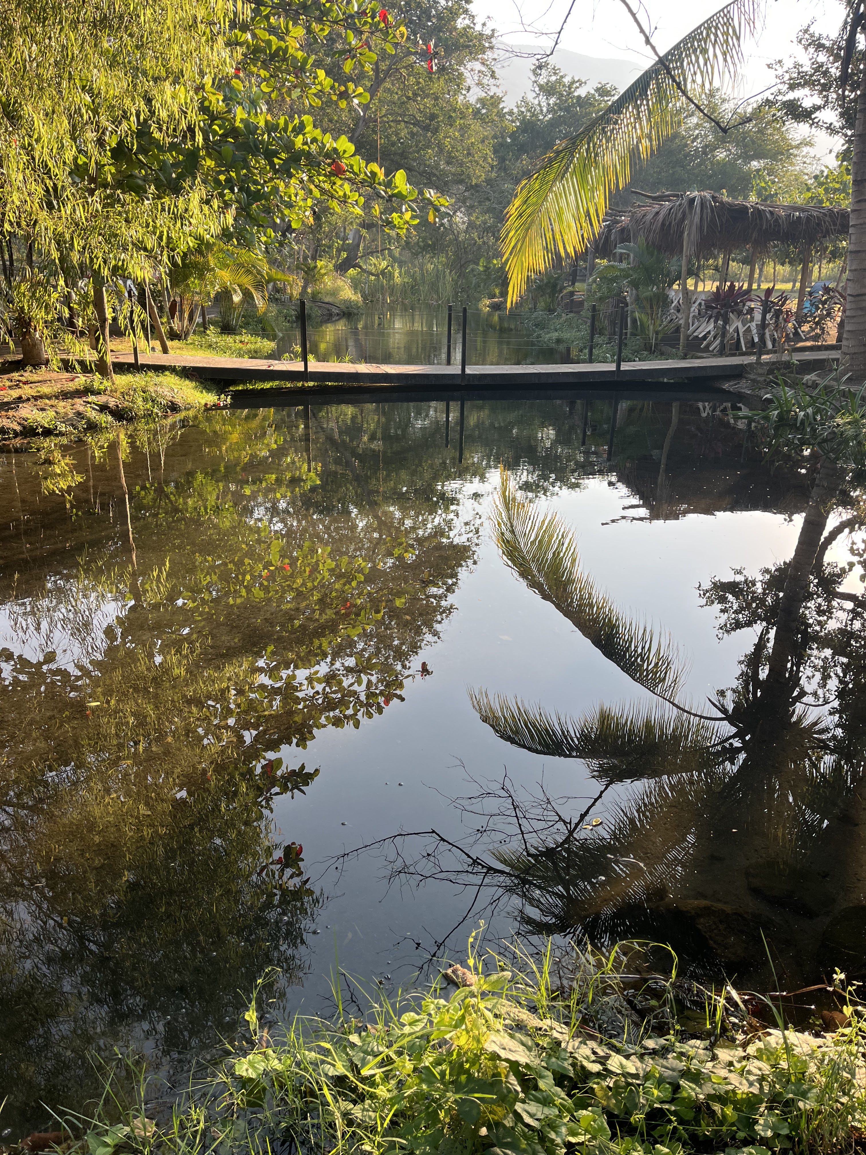 El SAUCE Balneario & Restaurante image 3