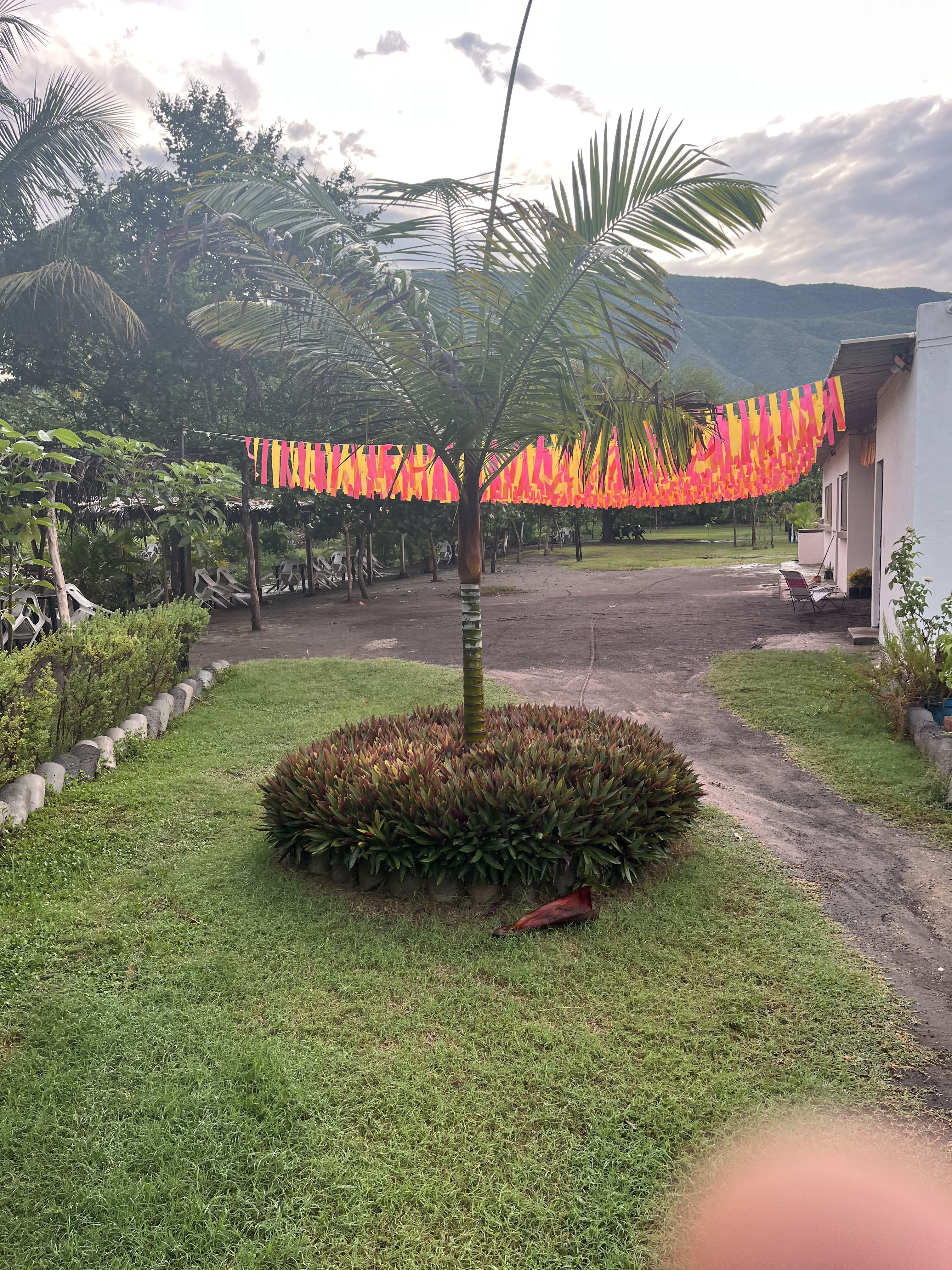 El SAUCE Balneario & Restaurante image 7