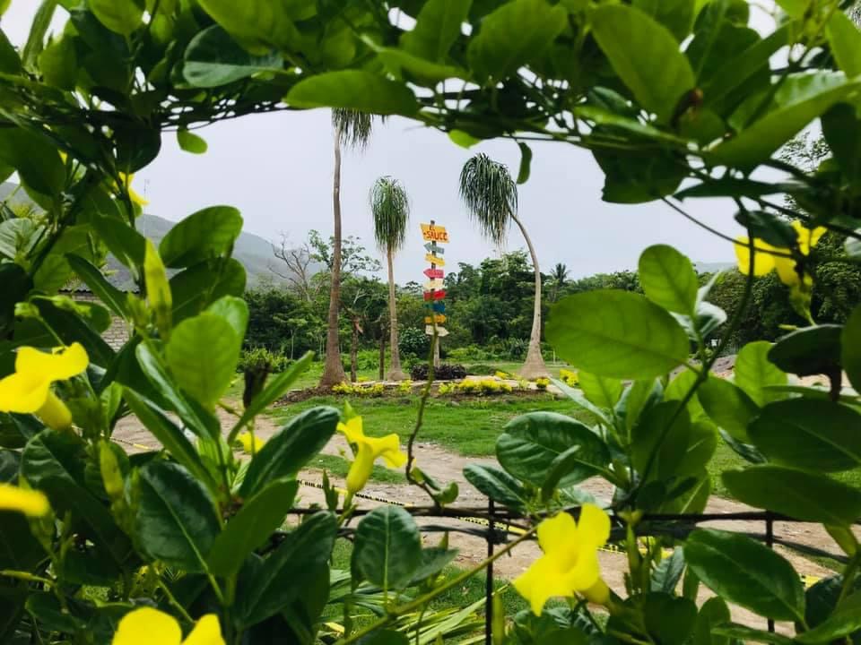 El SAUCE Balneario & Restaurante image 10