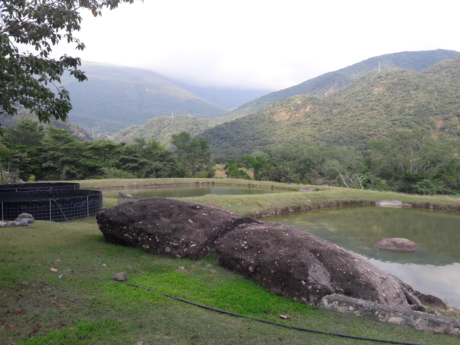 Granja de pescados la Lupita image 6