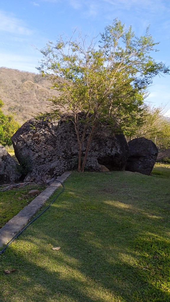 Granja de pescados la Lupita image 7