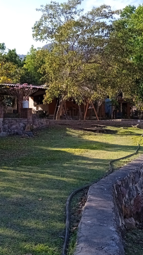 Granja de pescados la Lupita image 8