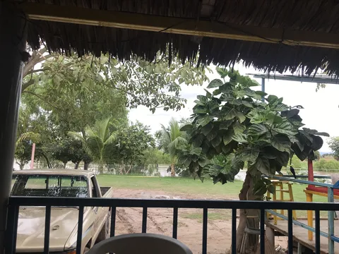 La Vitamina image 1
