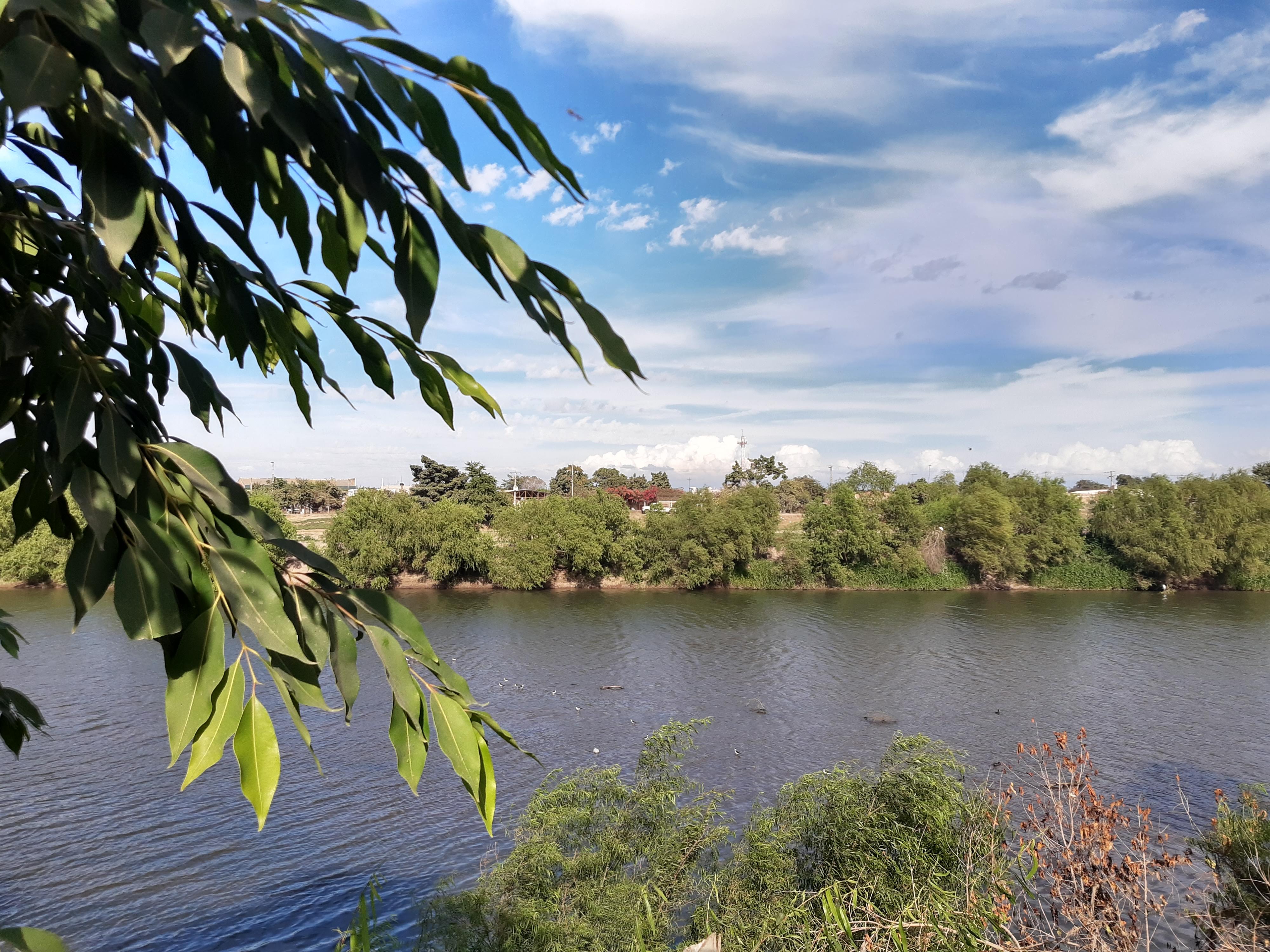 Real De Don Luis image 10