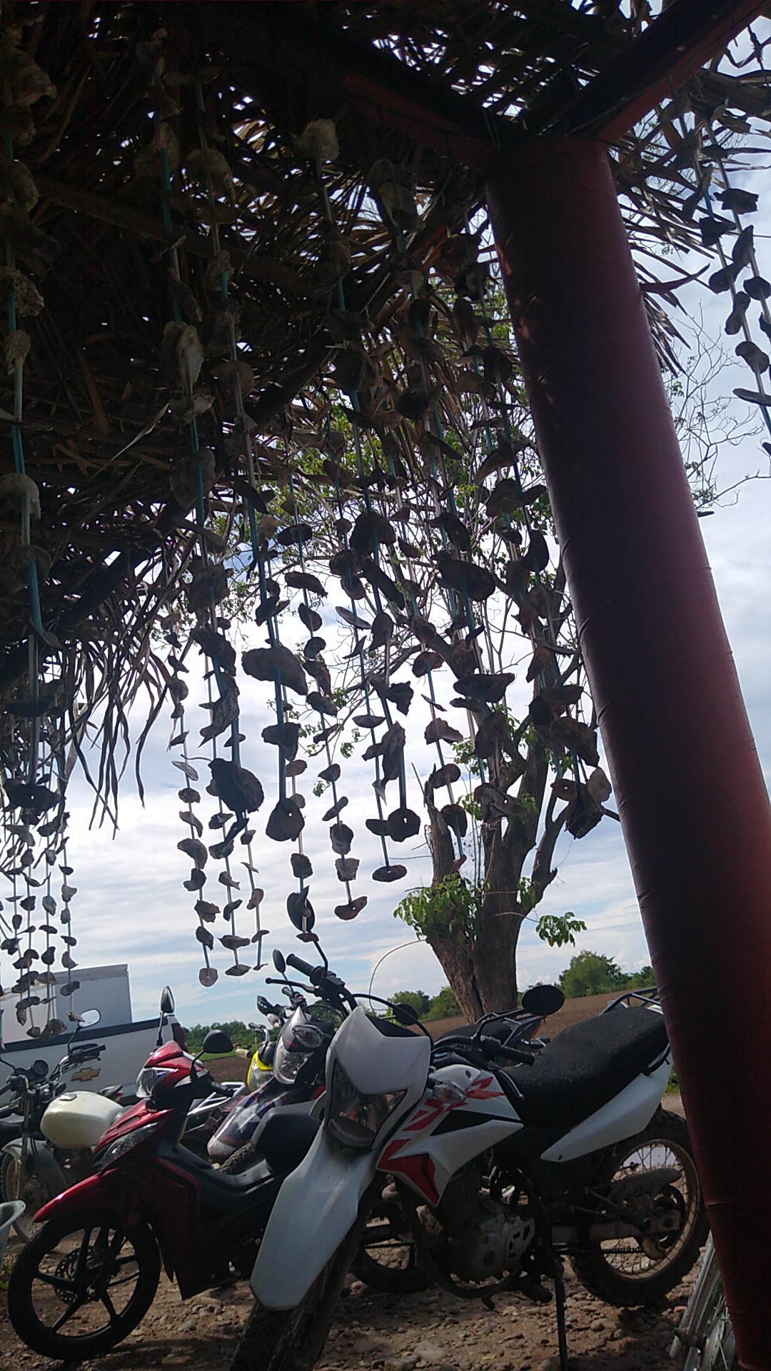 Mariscos La Ramadita image 4