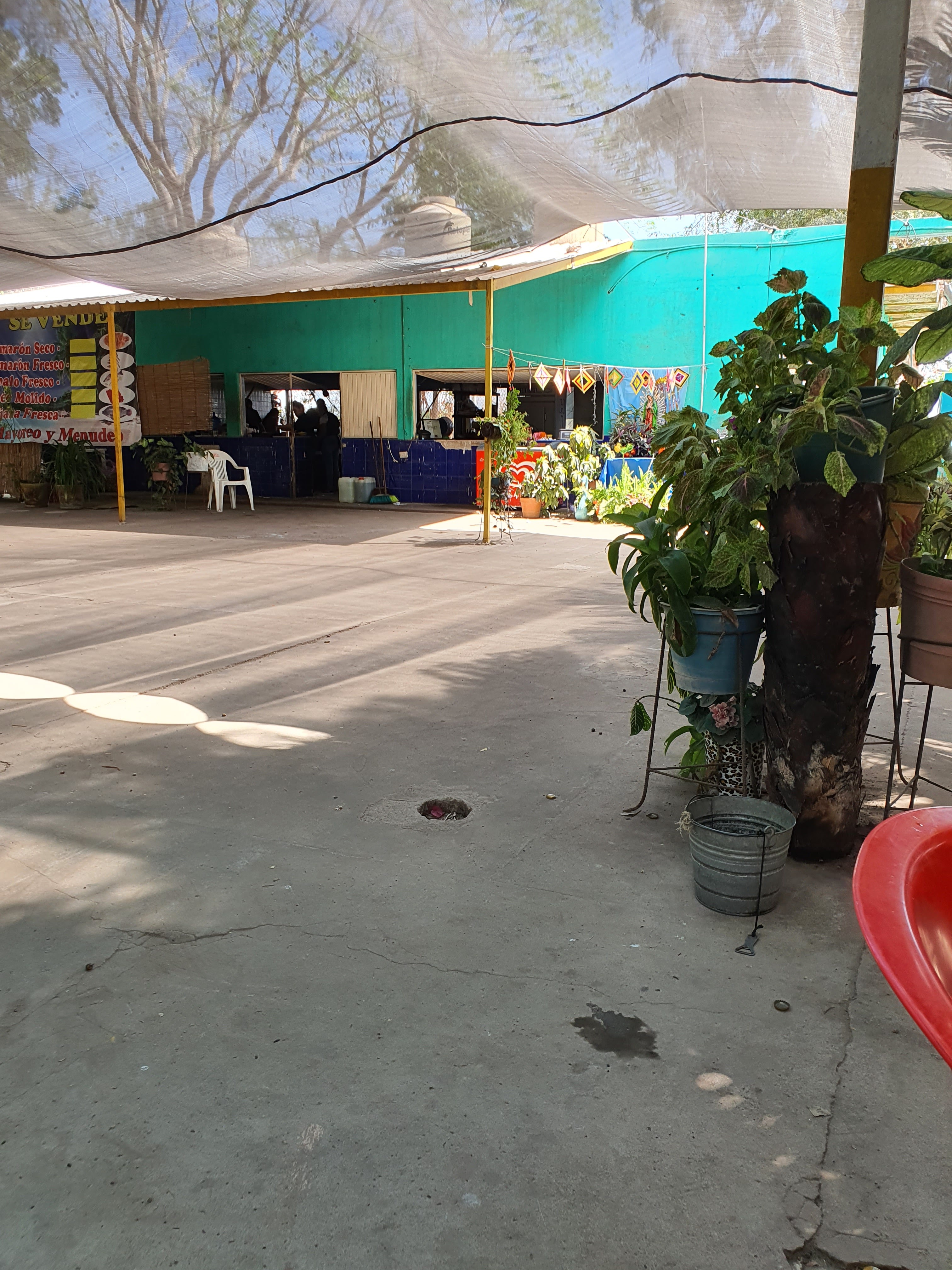 Restaurant Botanero "El Camaron Chiflado" image 7