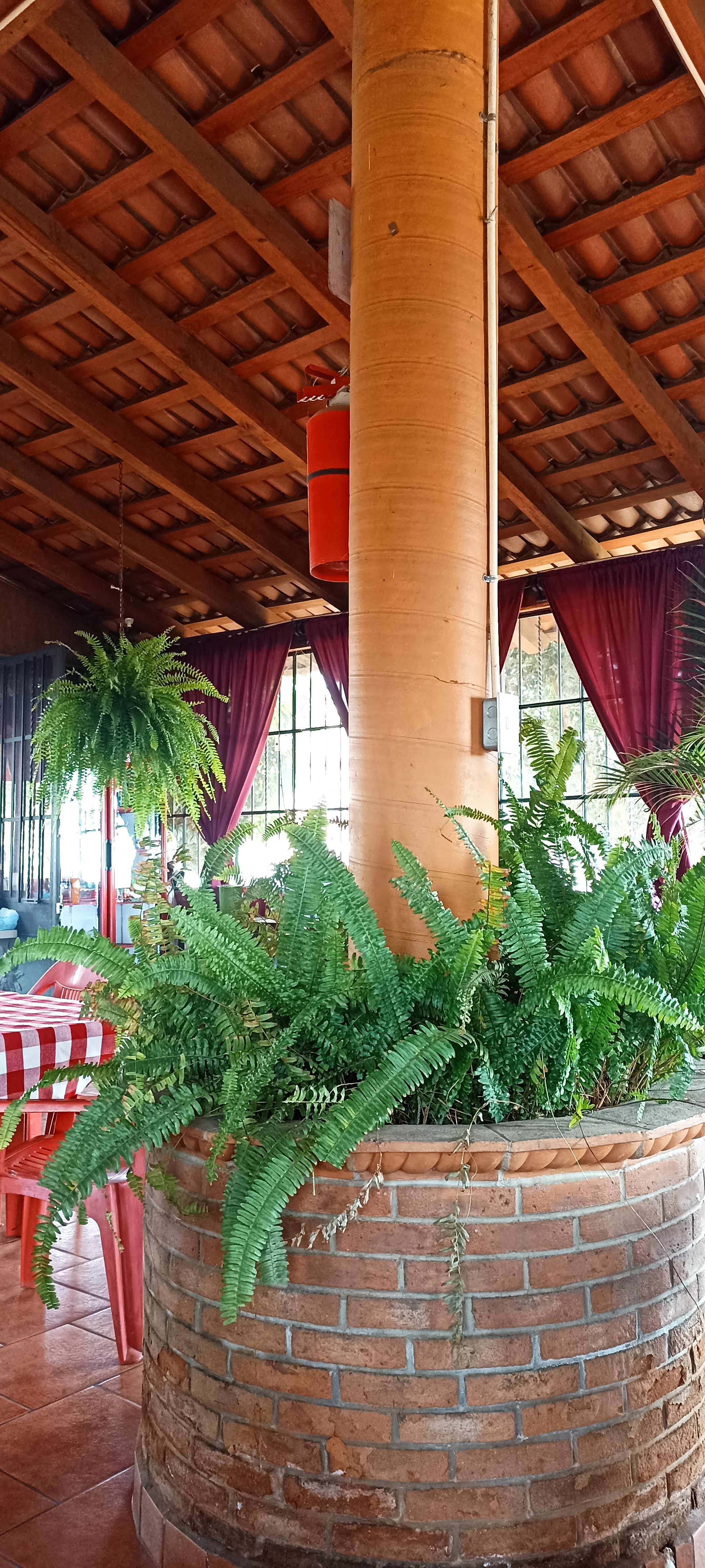 Carnitas Carmelo de Quiroga 7 Sucursal image 2