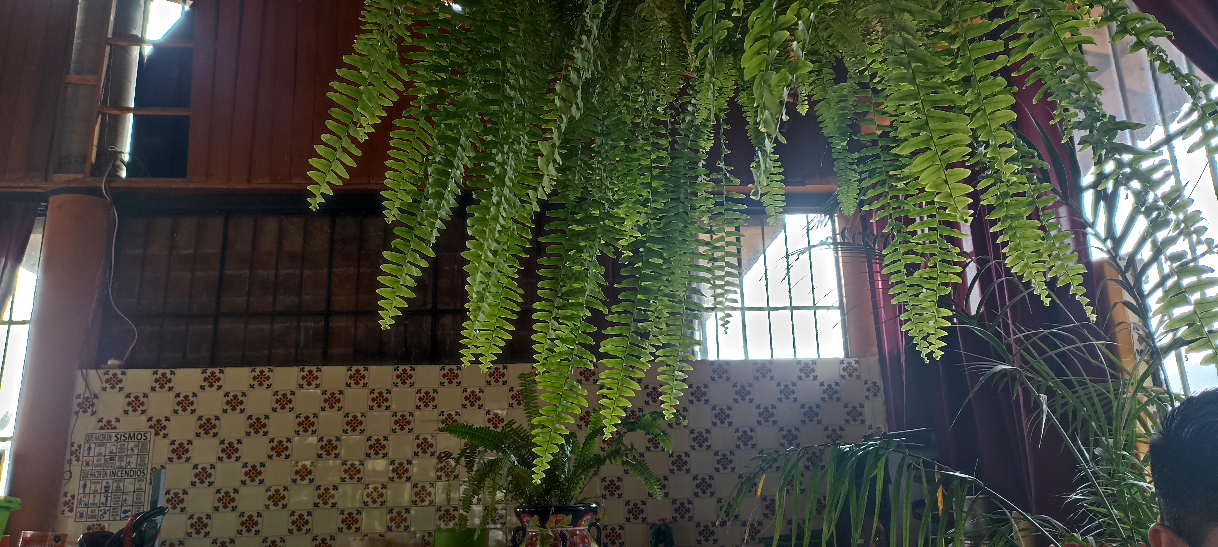 Carnitas Carmelo de Quiroga 7 Sucursal image 10