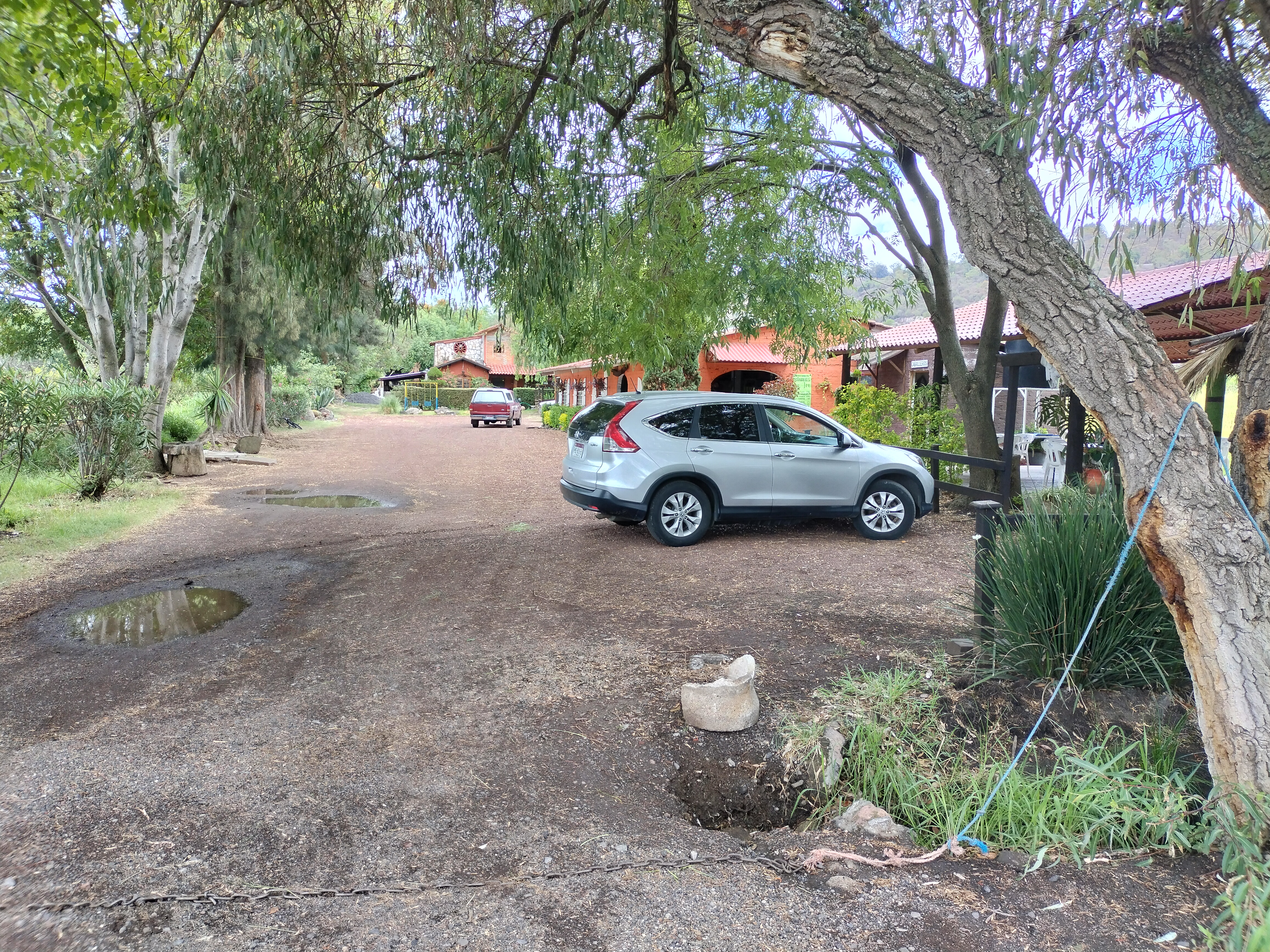 Restaurante Los Laureles image 4