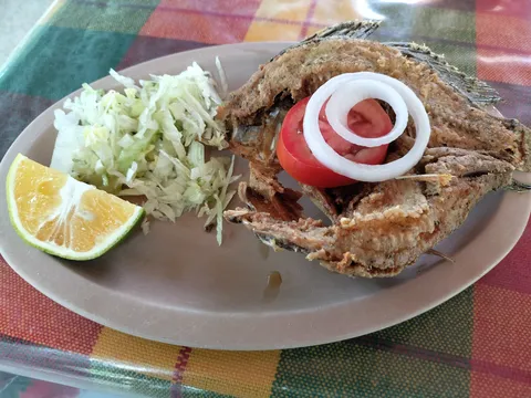 Restaurante Los Laureles image 6
