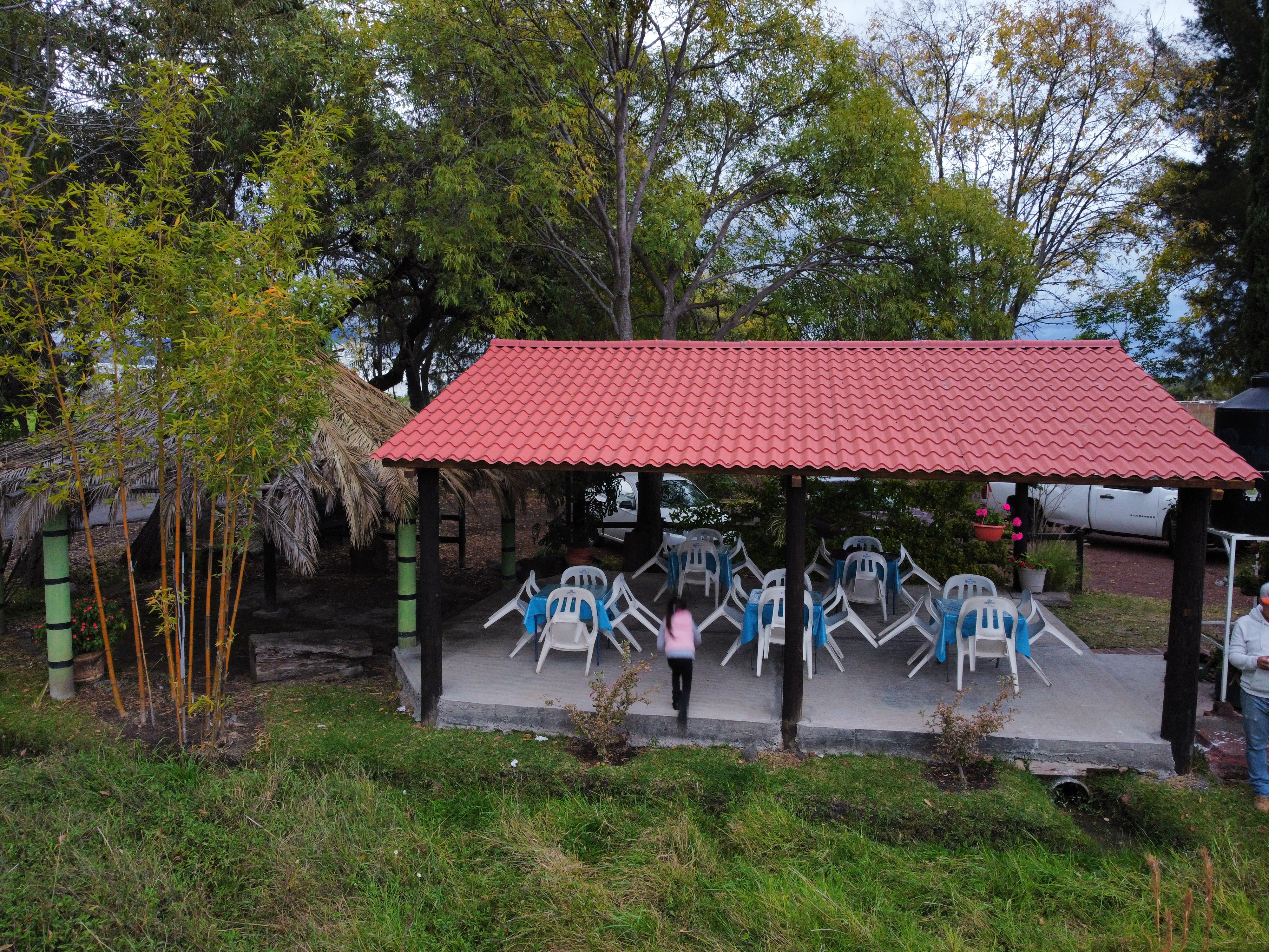 Restaurante Los Laureles image 7