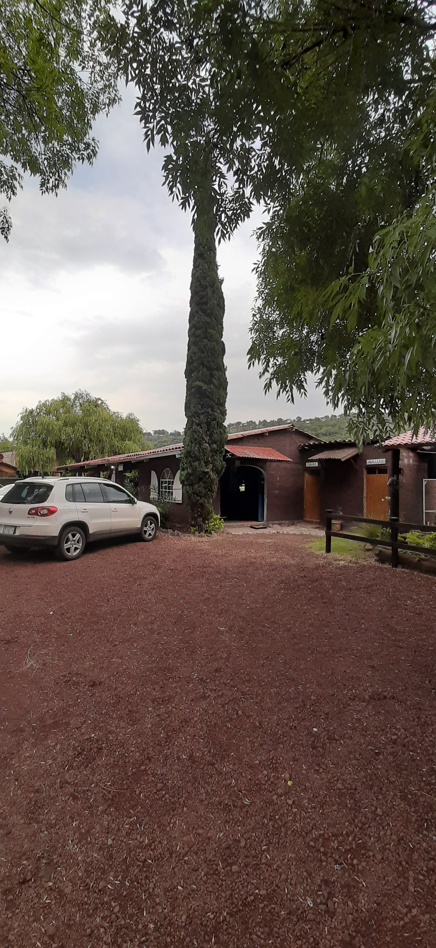 Restaurante Los Laureles image 9