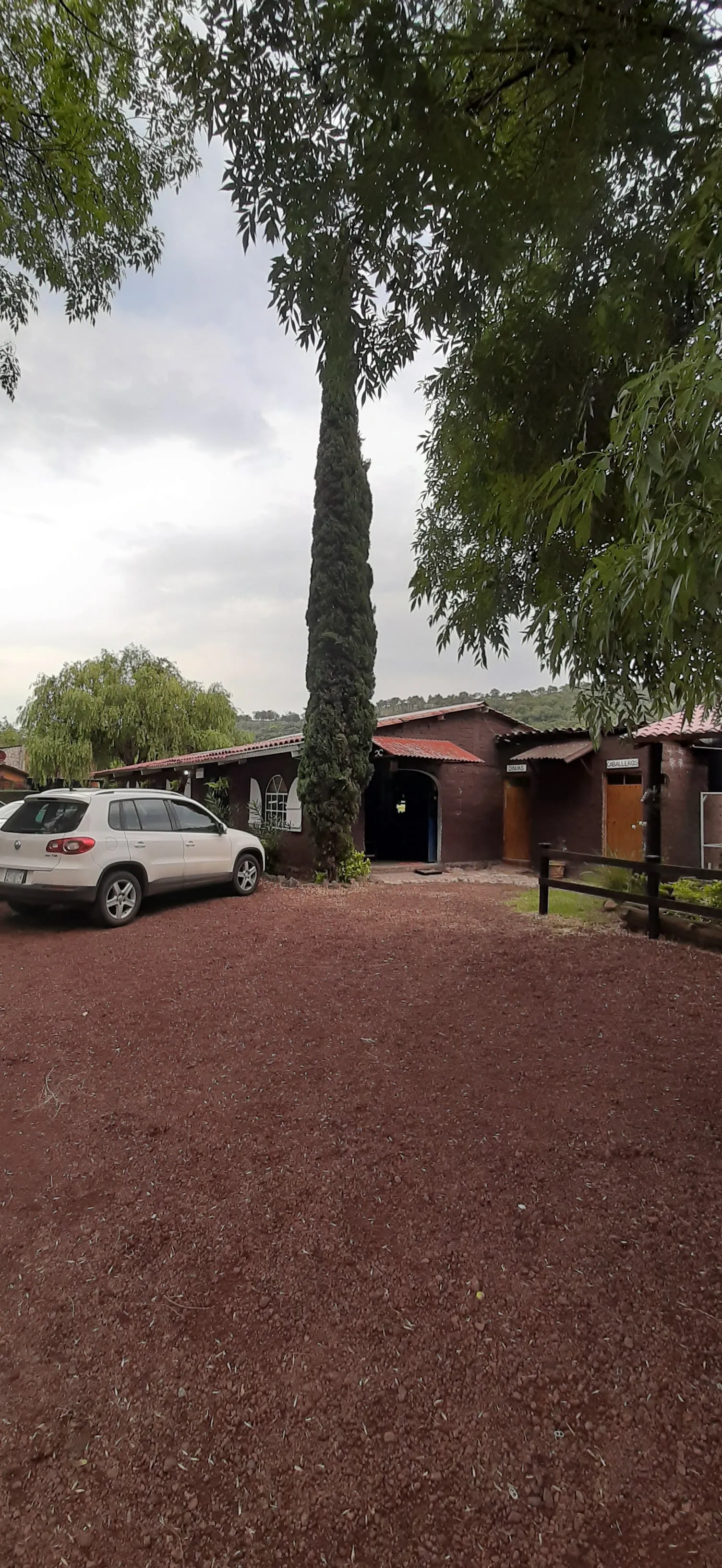 Restaurante Los Laureles image 9