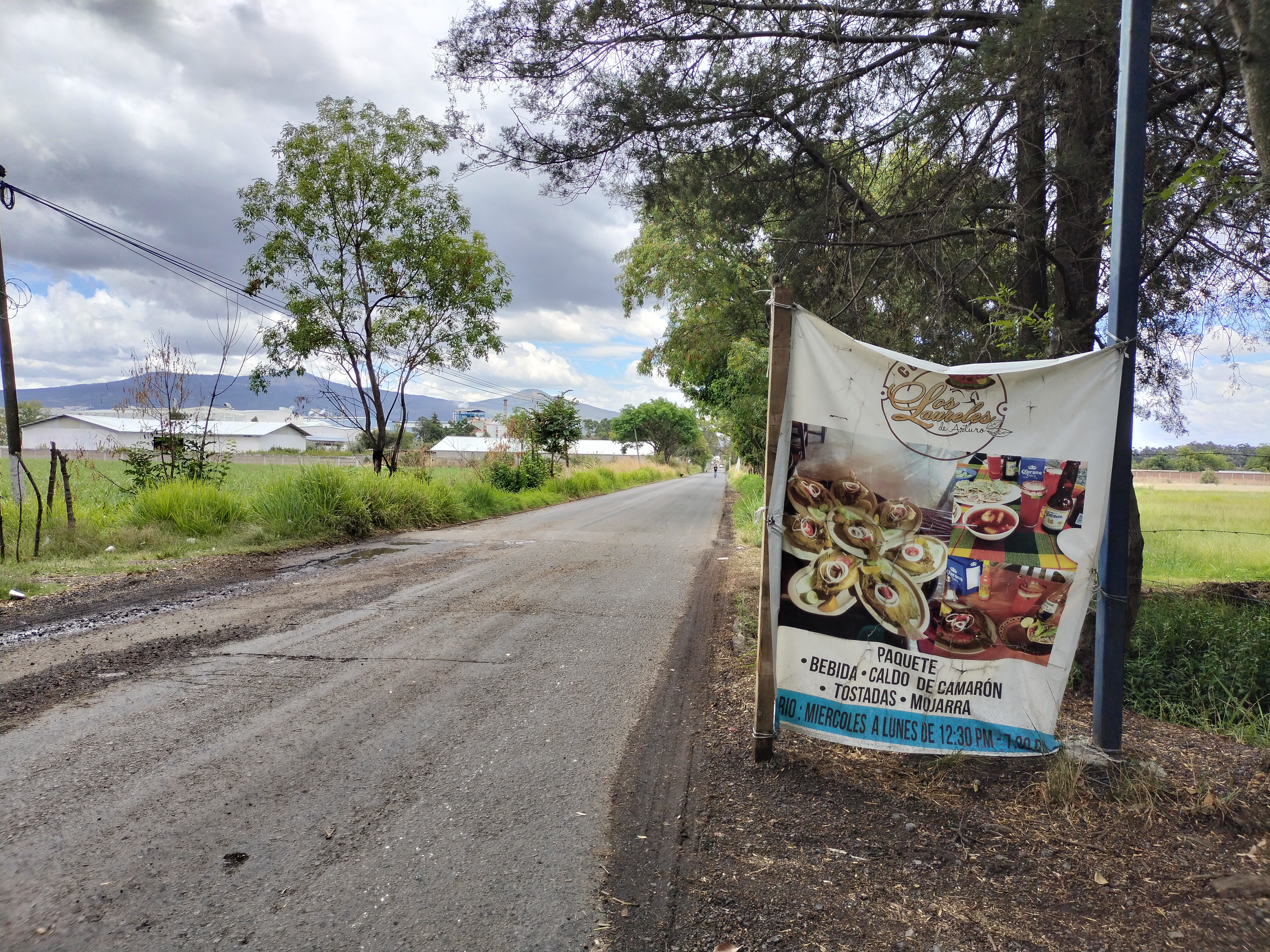 Restaurante Los Laureles image 10