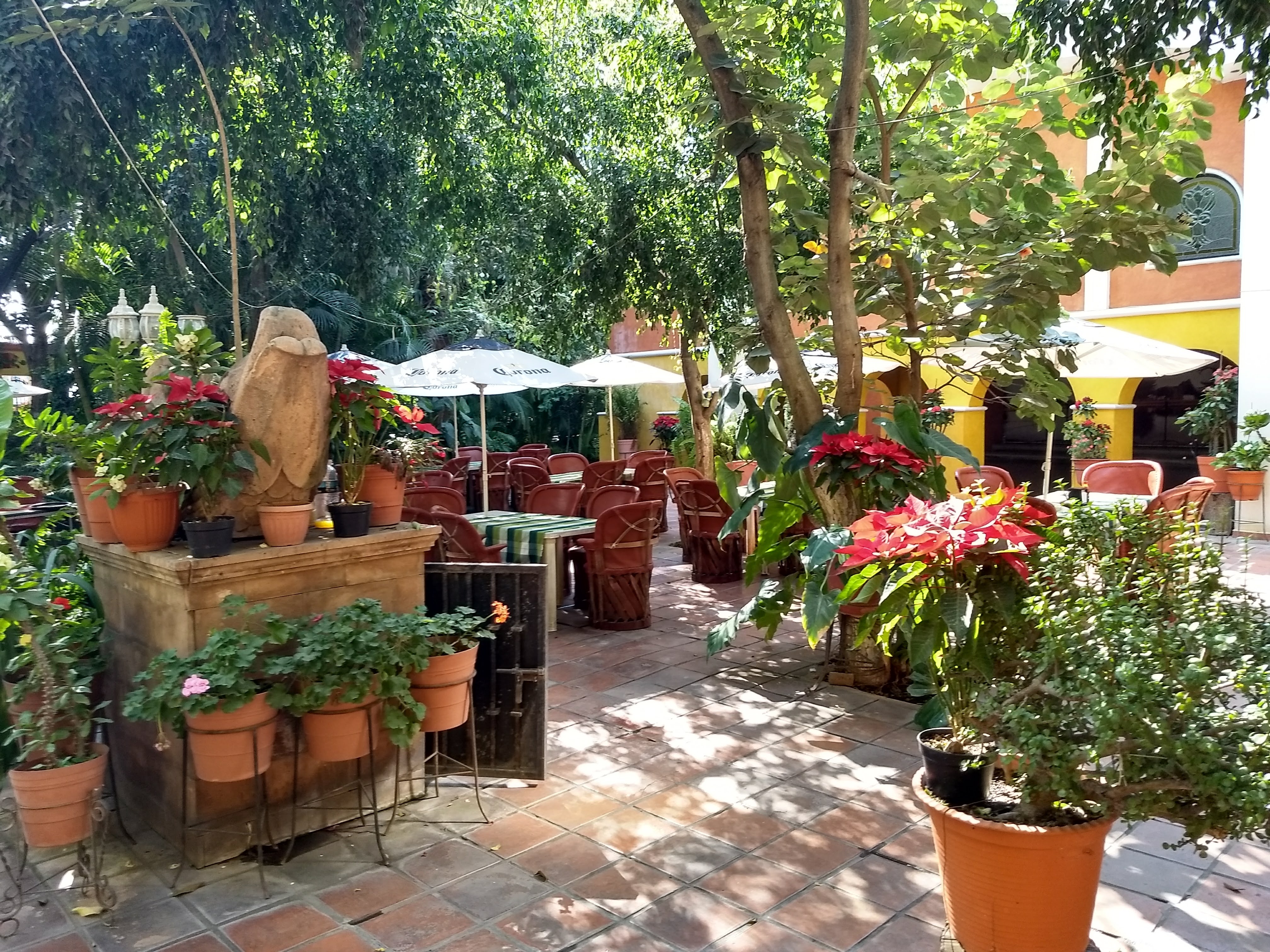 Restaurant Típico Boca del Rio image 1