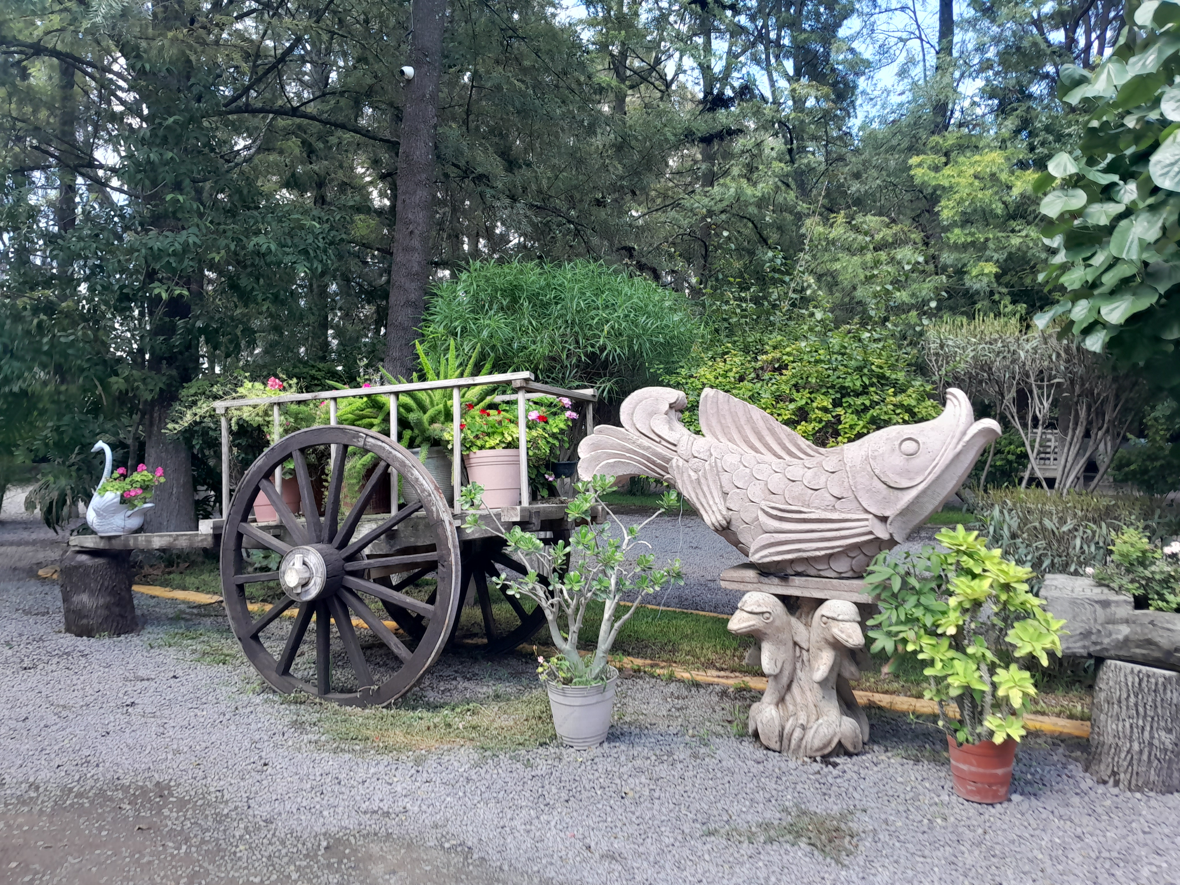 Restaurant Típico Boca del Rio image 8