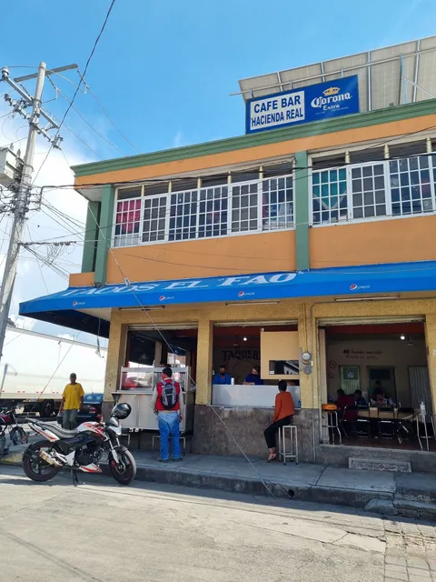 Taqueria El Fao image 1