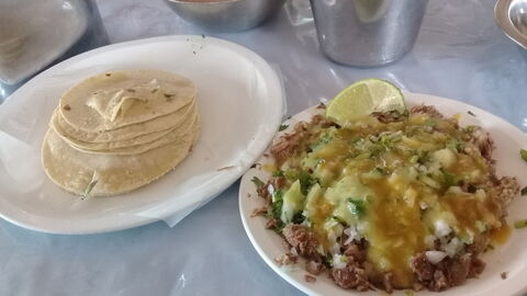 Taqueria El Fao image 8