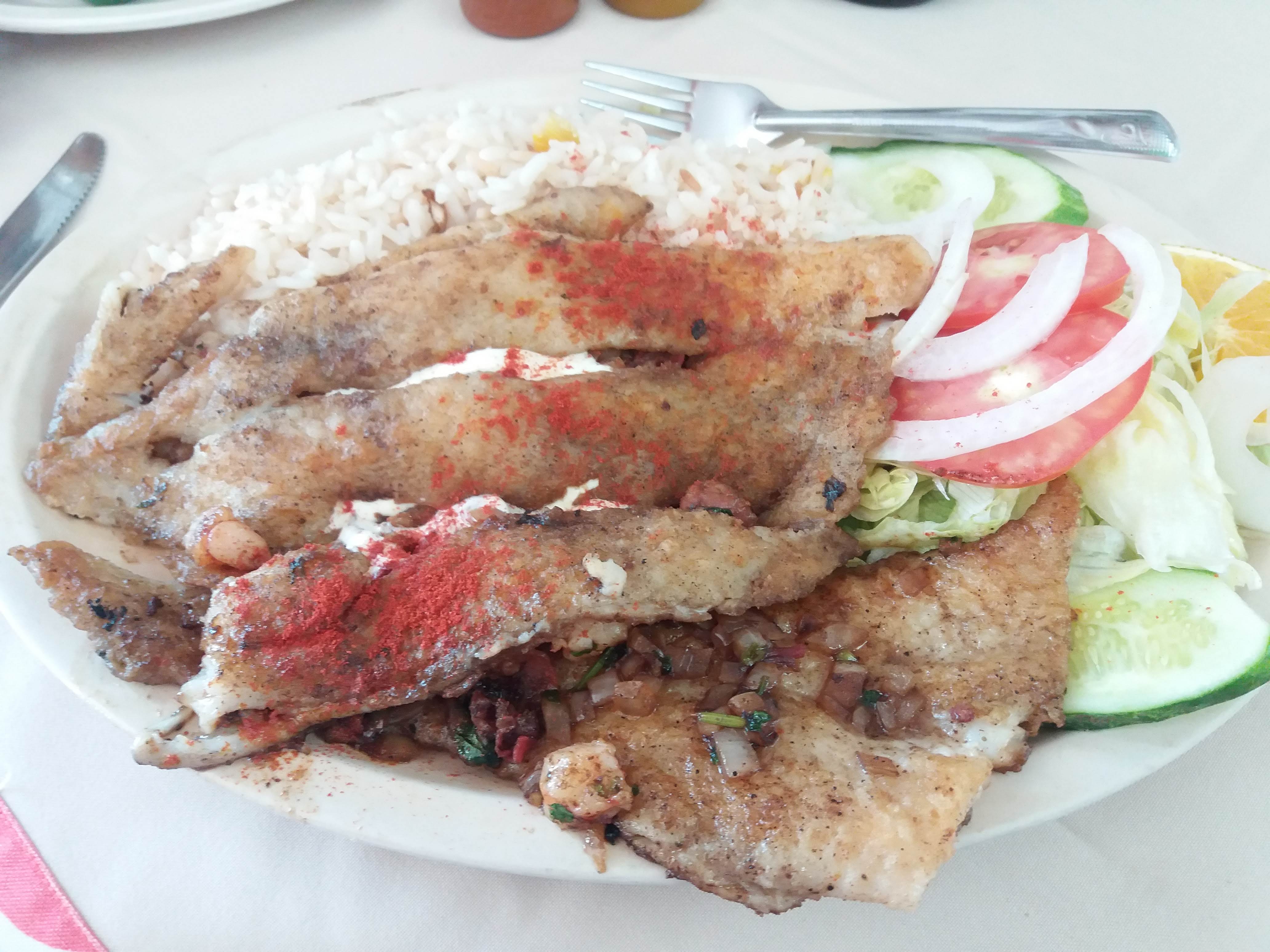 El Delfin Sonriente image 10