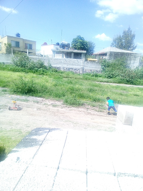 Doña cleme tacos, quesadillas y gorditas image 4