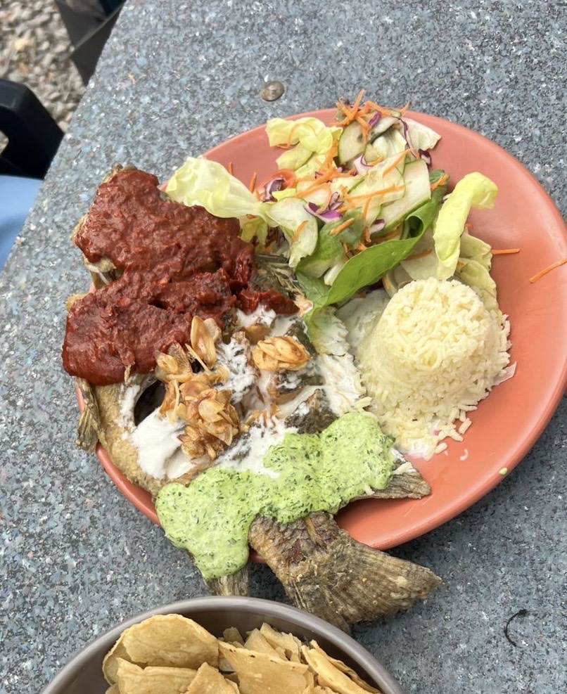 Granja La Familia Tilapia image 2