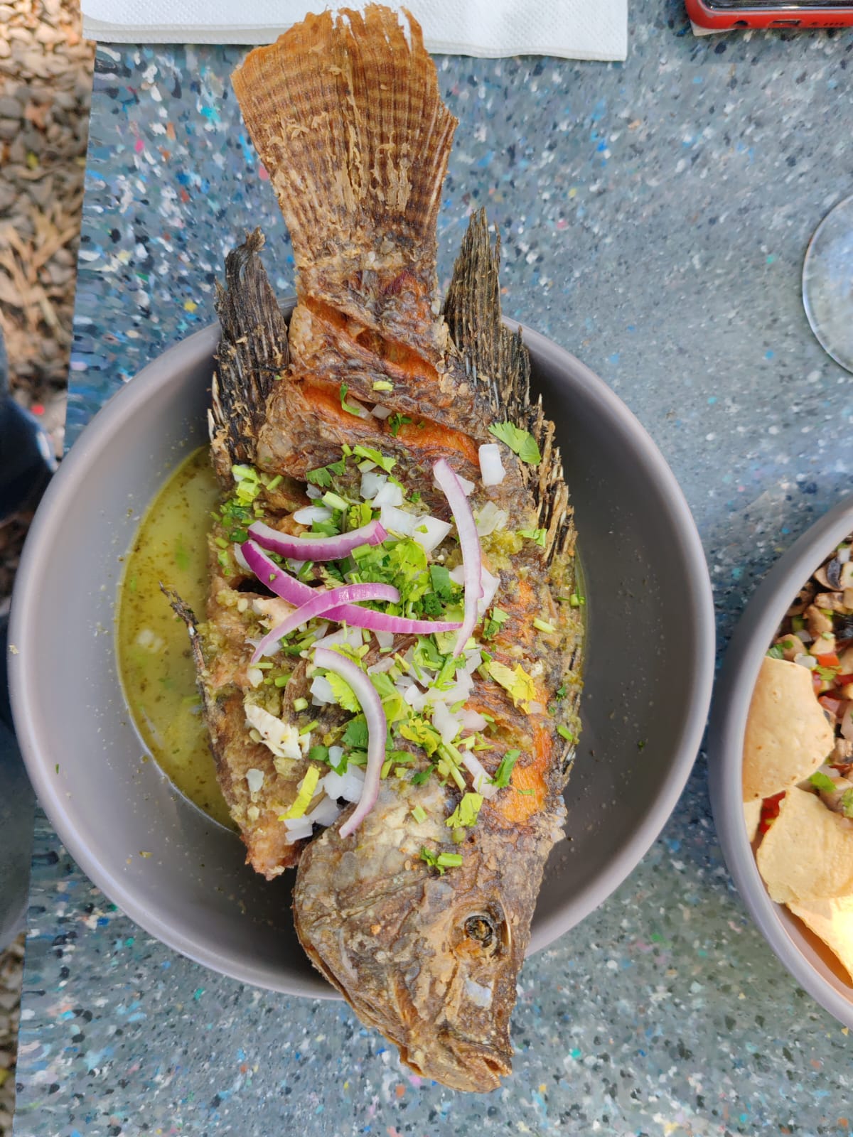 Granja La Familia Tilapia image 5