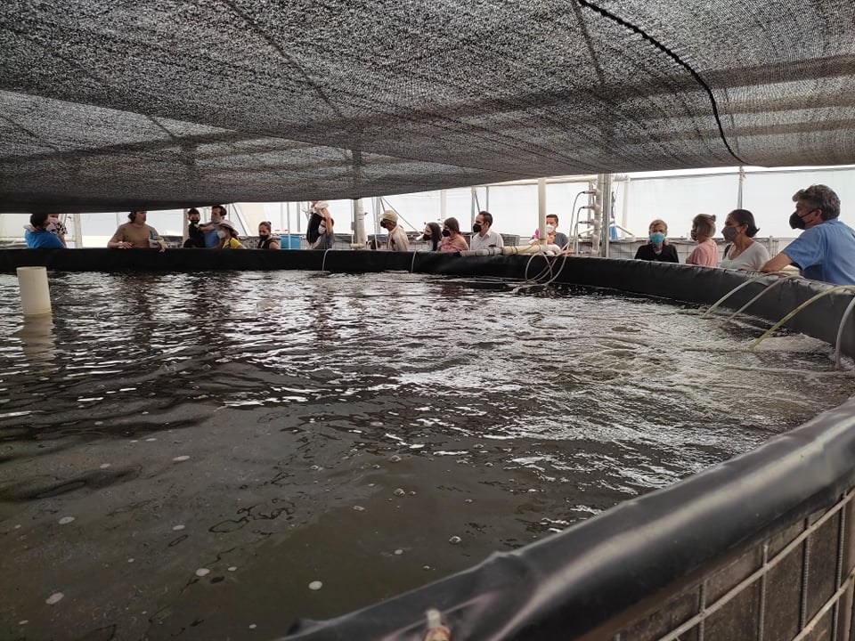 Granja La Familia Tilapia image 6