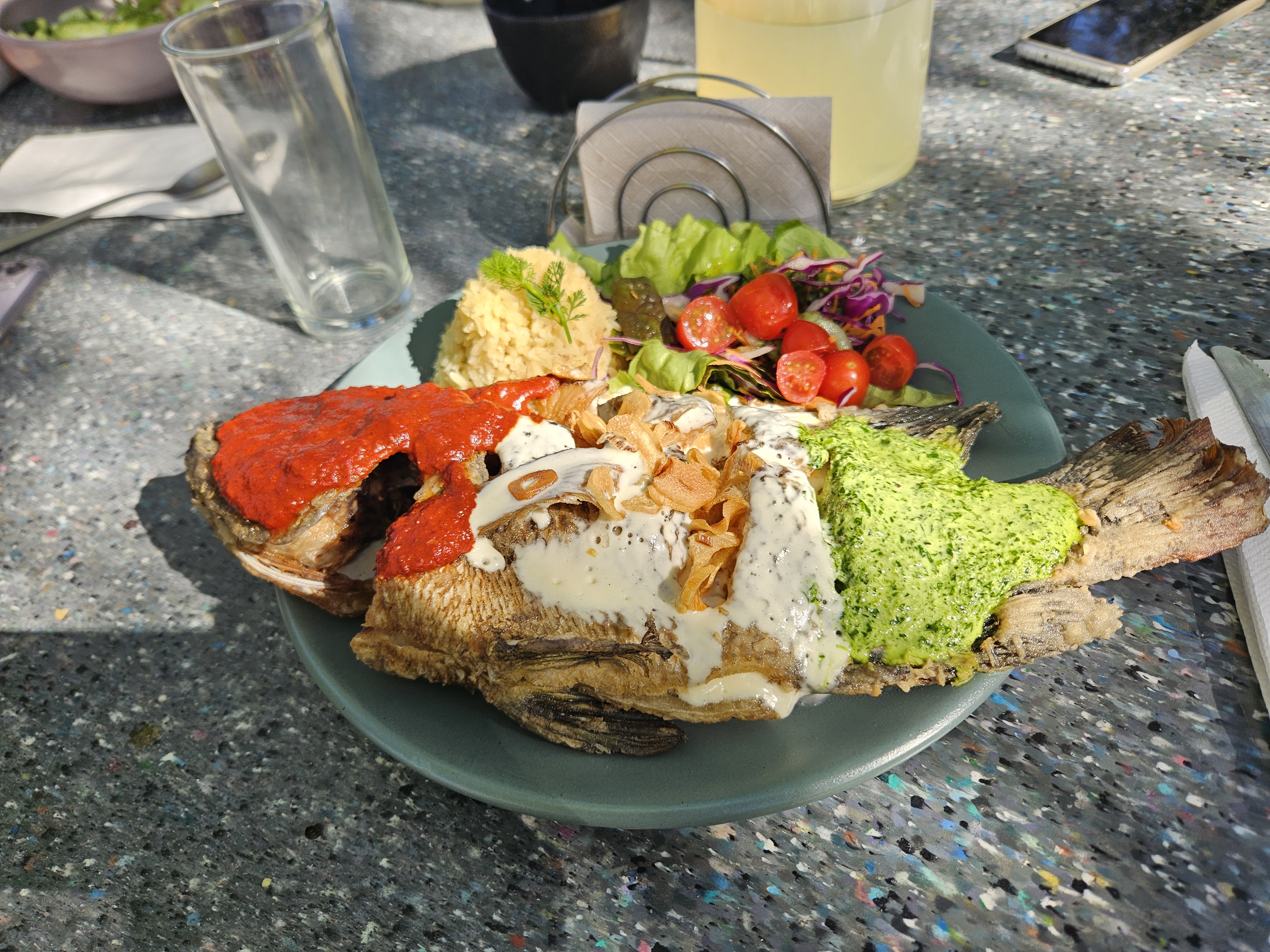 Granja La Familia Tilapia image 7