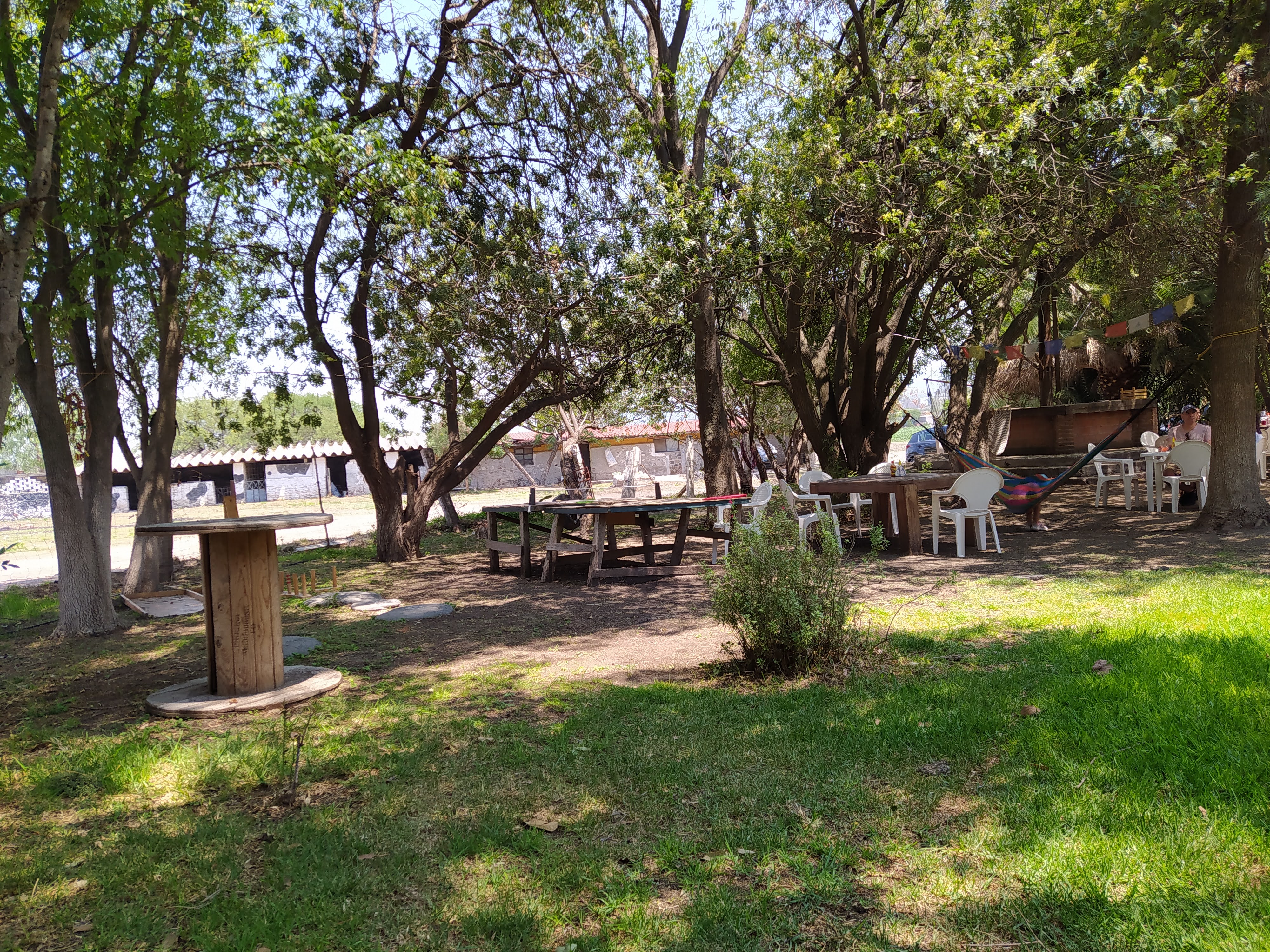 Granja La Familia Tilapia image 8