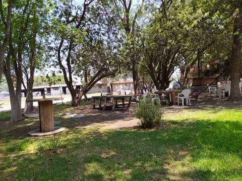 Granja La Familia Tilapia image 8