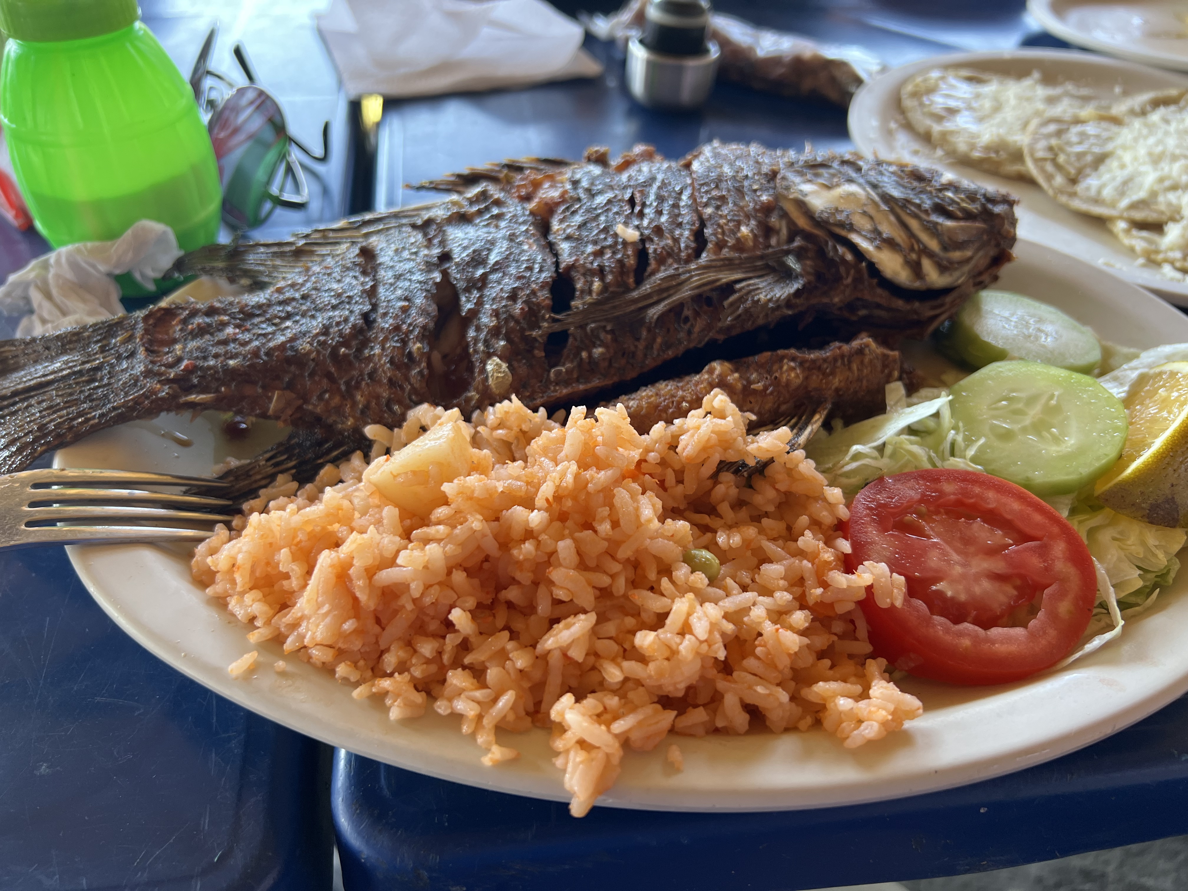 Las Vegas (Botanera) image 2