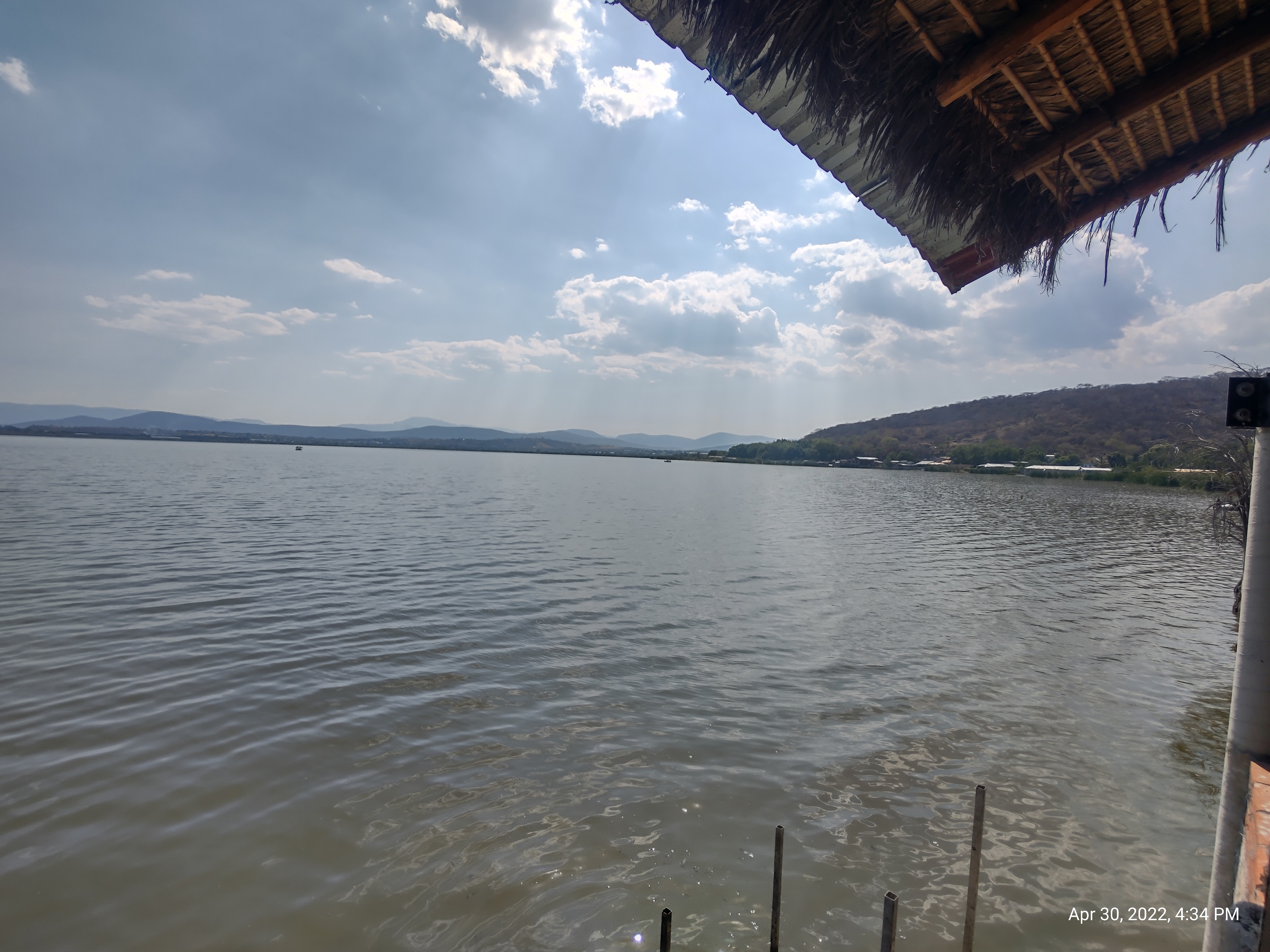 Las Vegas (Botanera) image 3