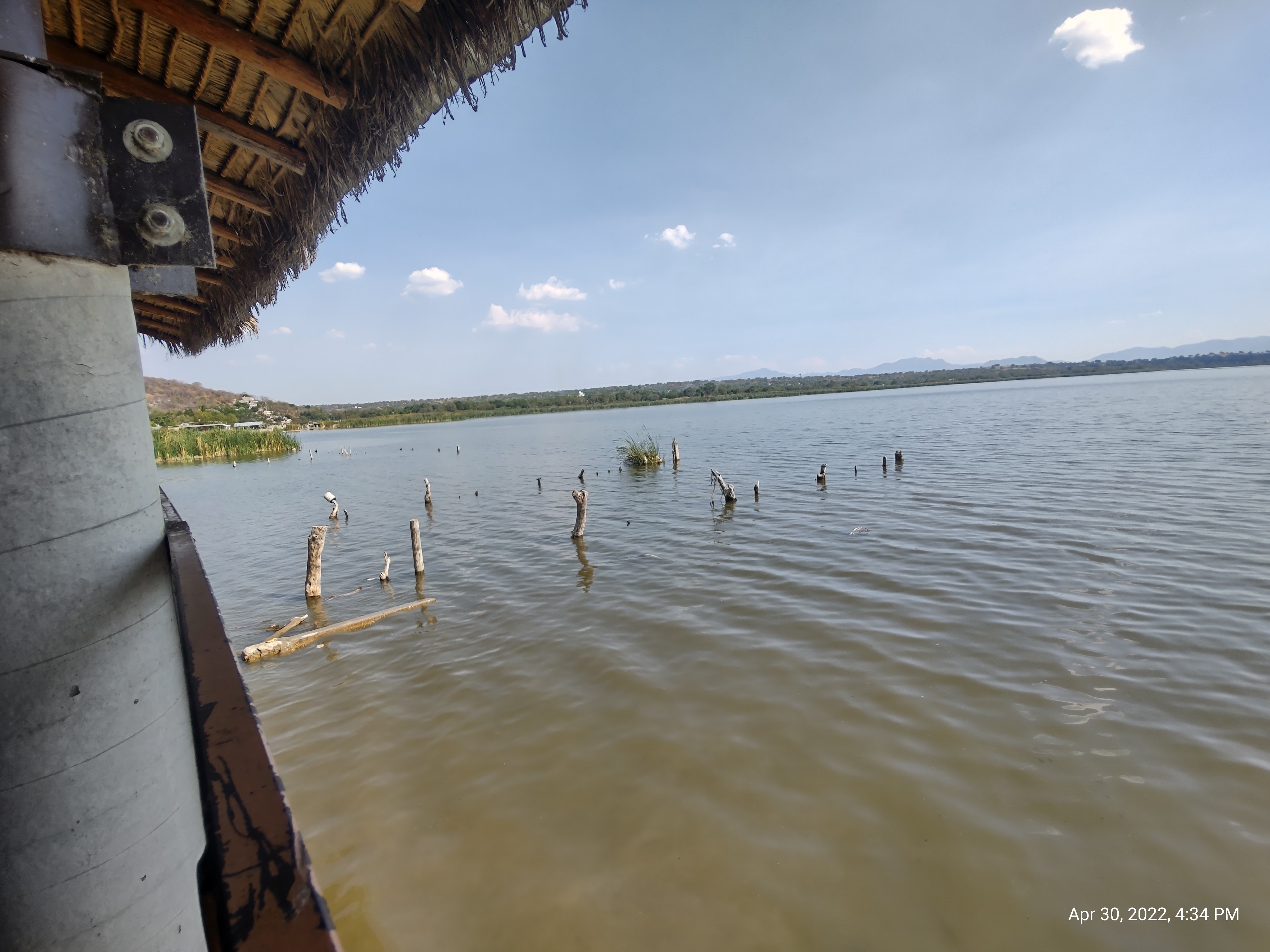 Las Vegas (Botanera) image 4