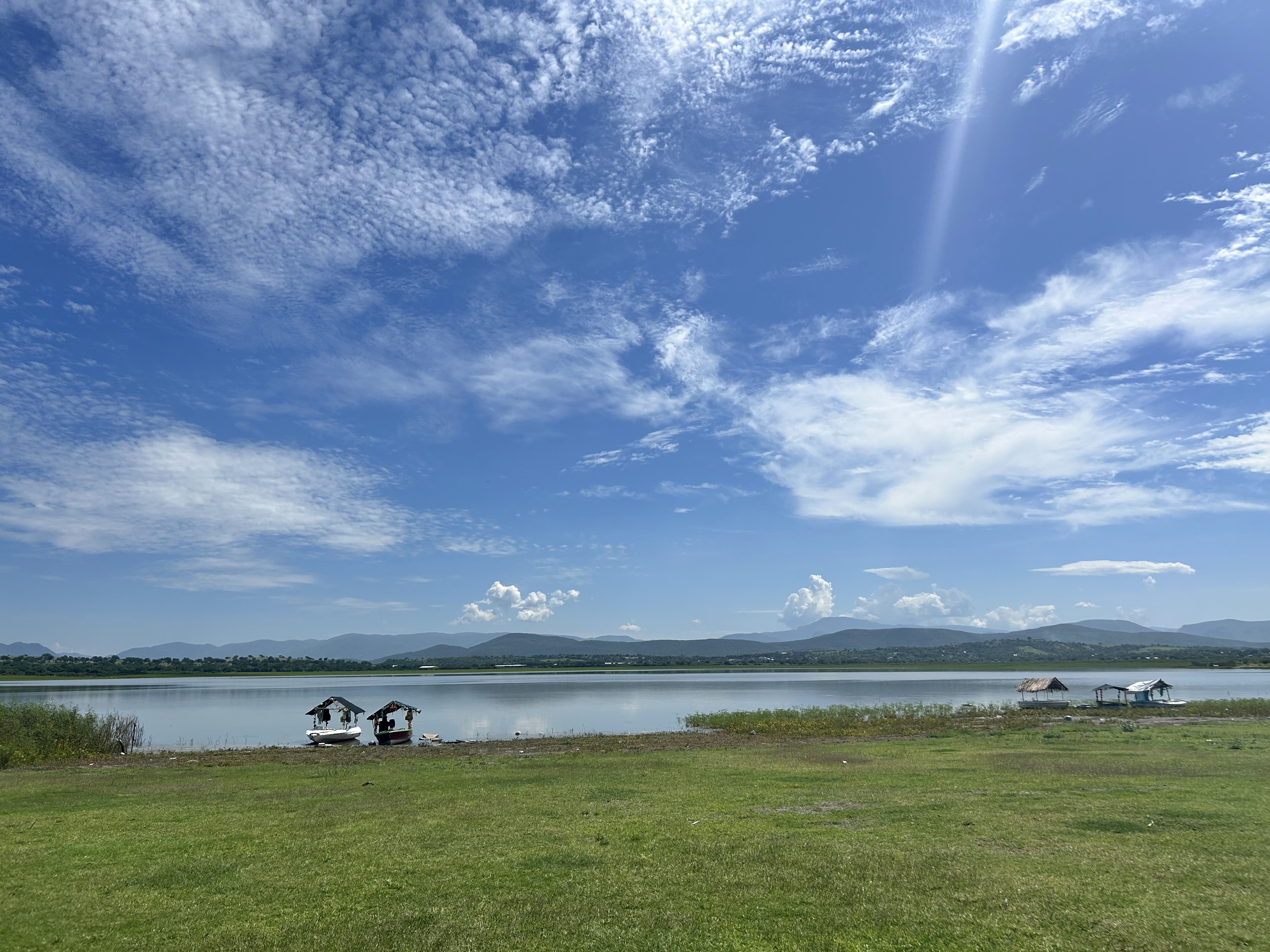 Las Vegas (Botanera) image 5