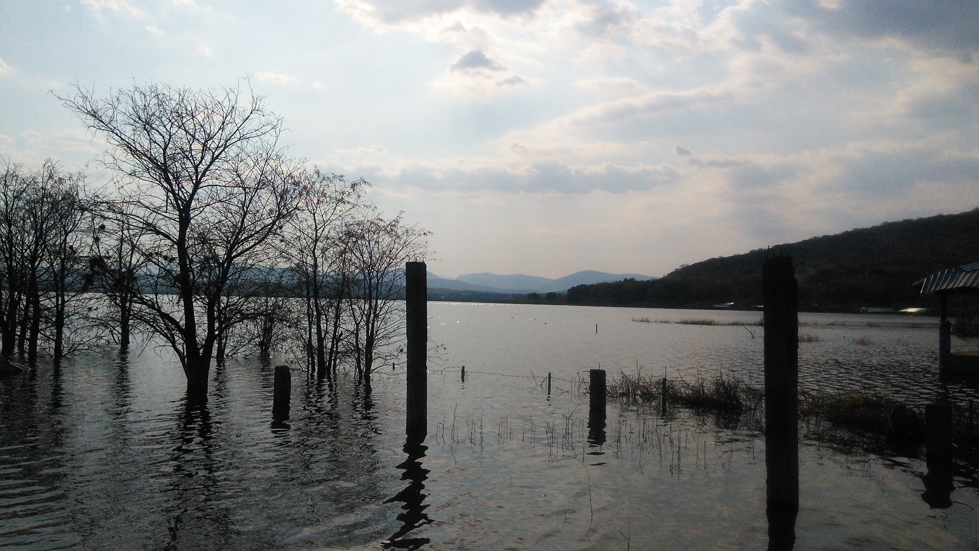 Las Vegas (Botanera) image 6