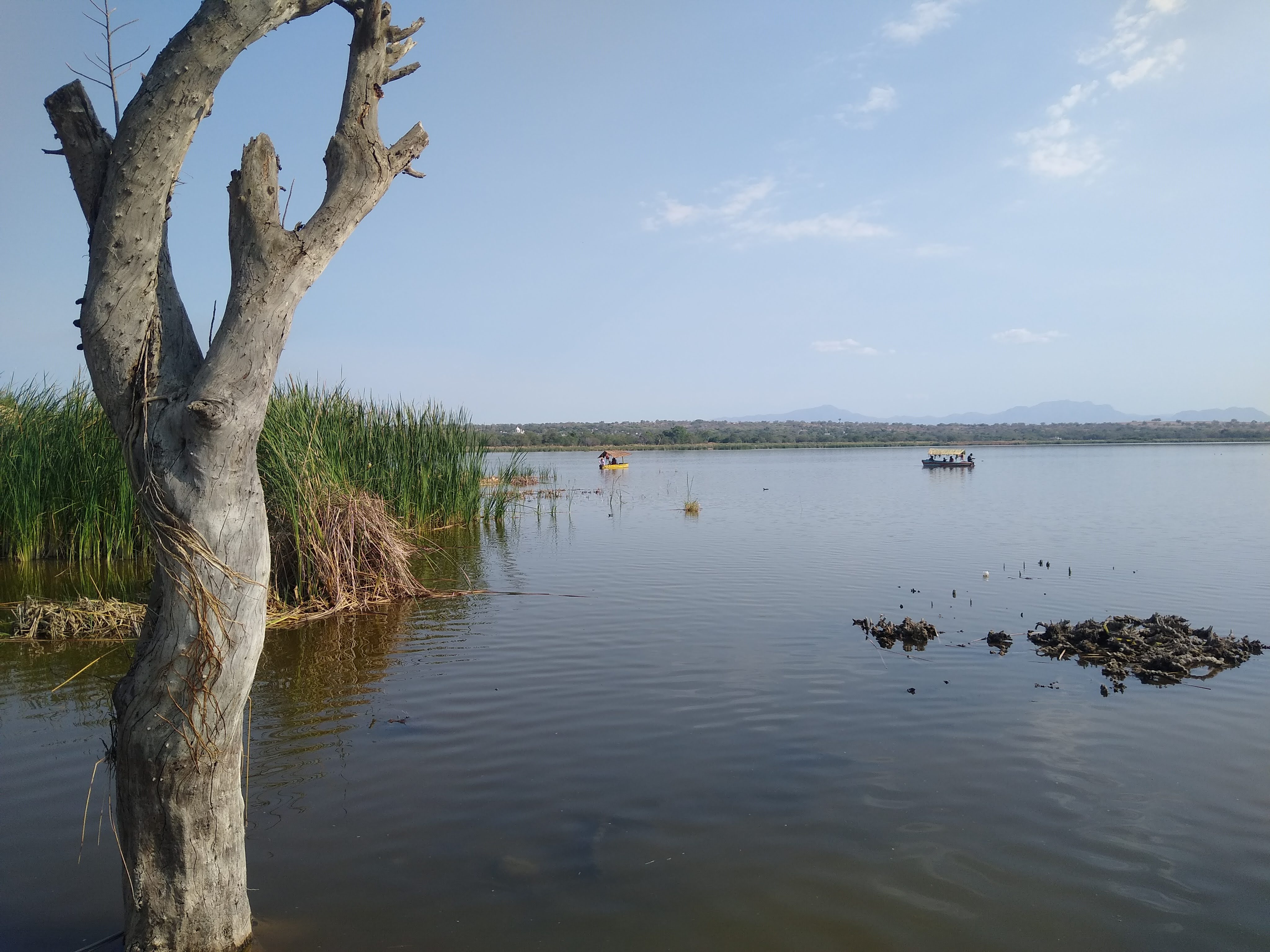 Gran Palapa Coatetelco image 3