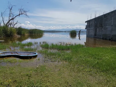 Gran Palapa Coatetelco image 8