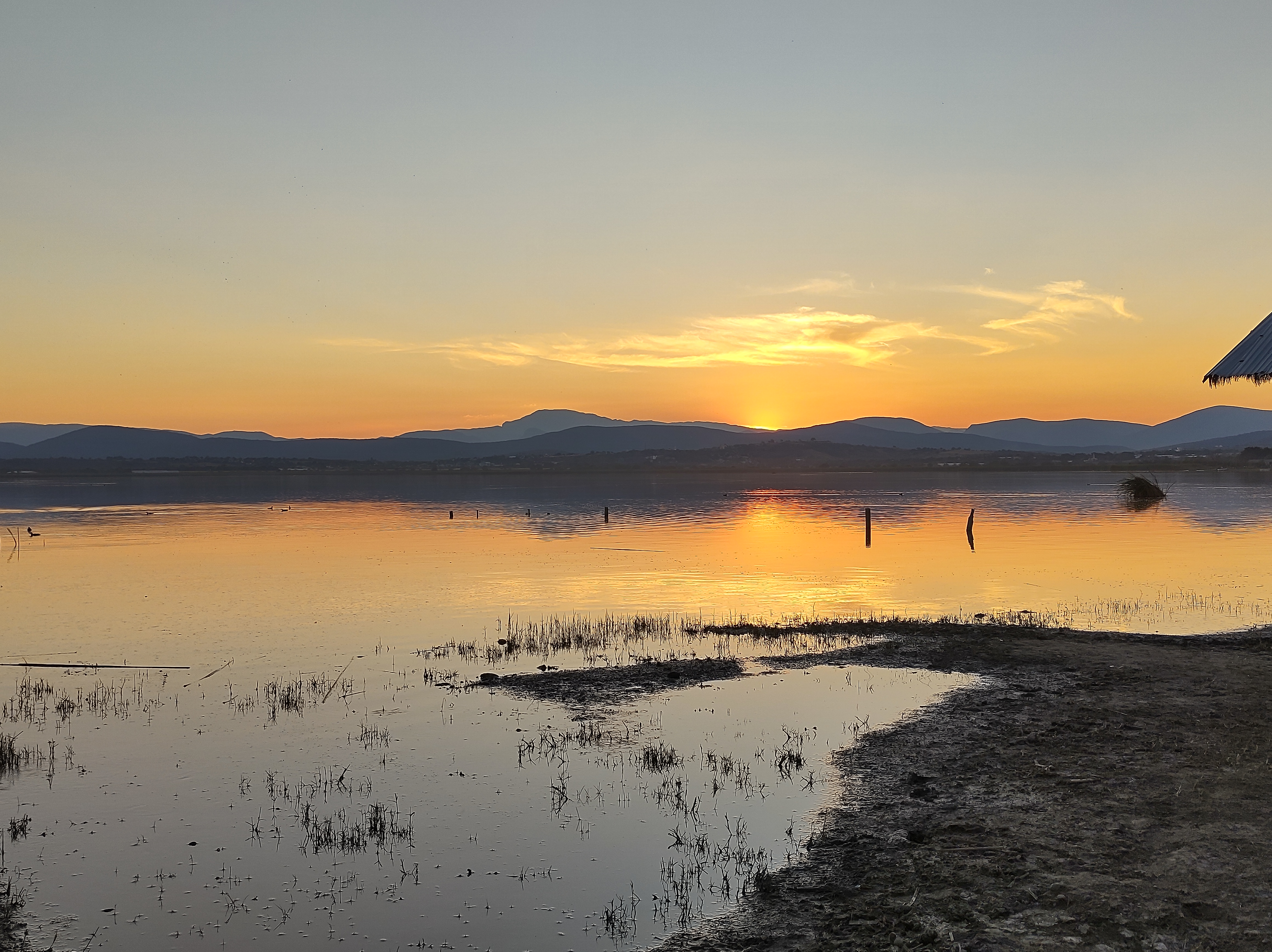 Palapa 7 Mares image 3