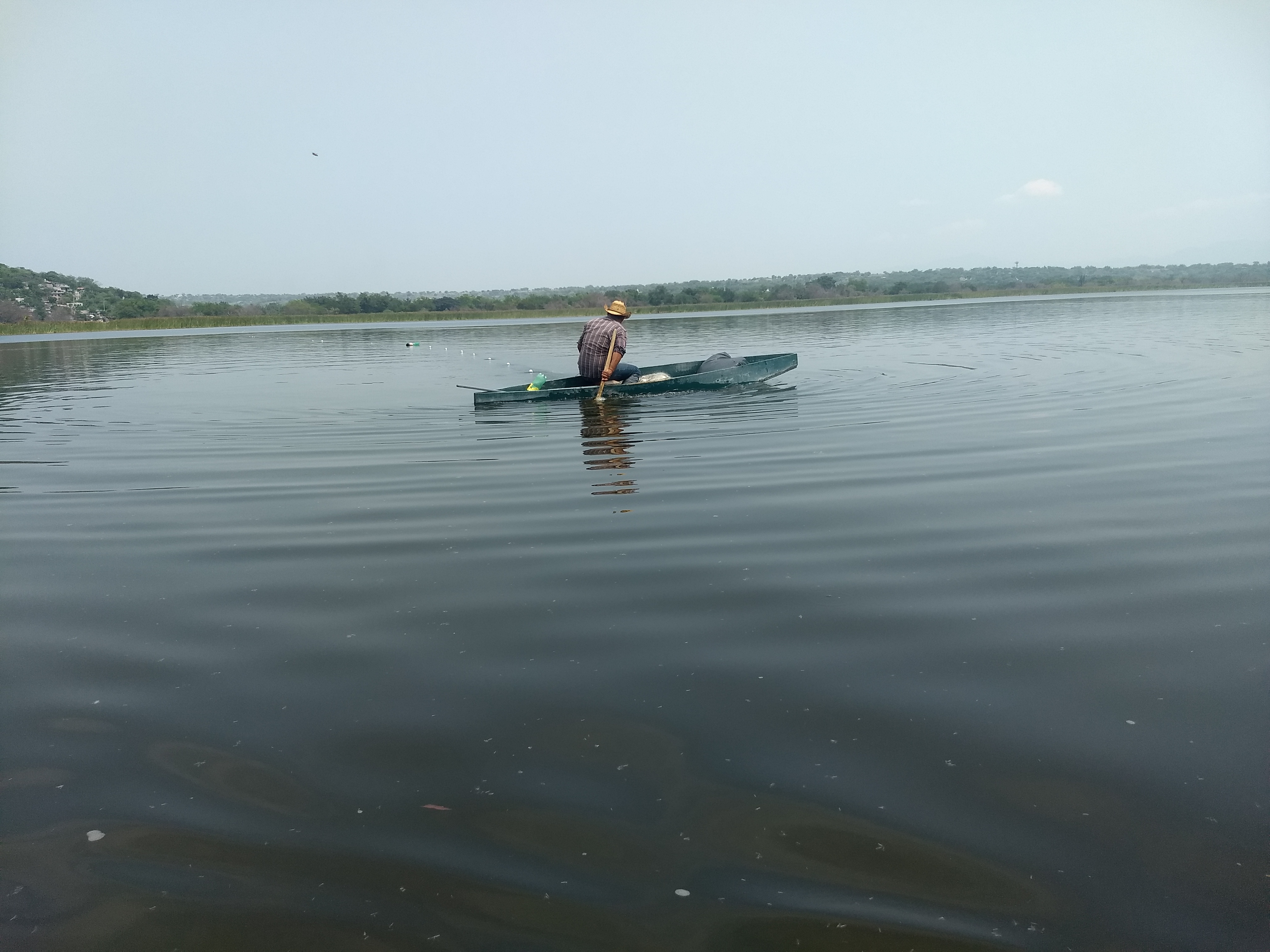 Palapa 7 Mares image 5